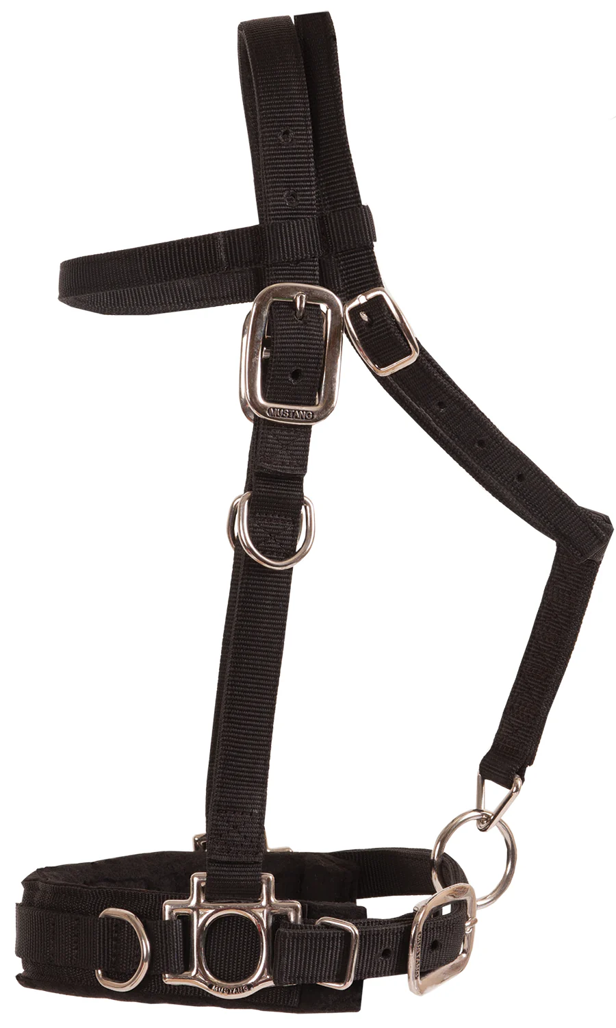 Balance Complete Training System - Image 5