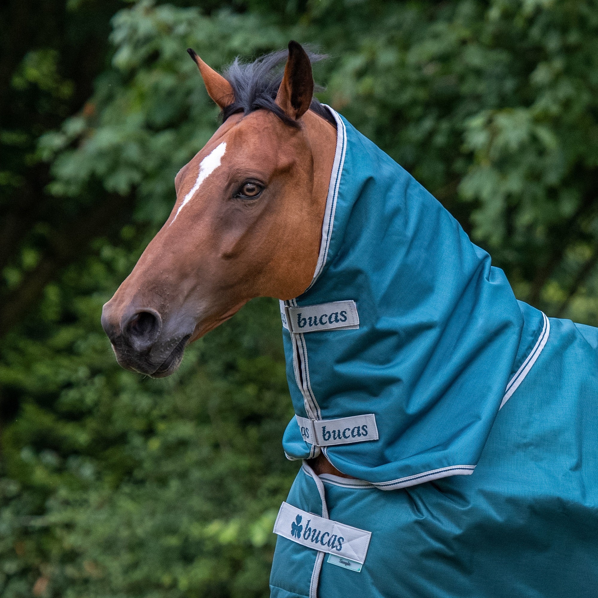 Bucas Atlantic 400 Gram Turnout Blanket - Image 3