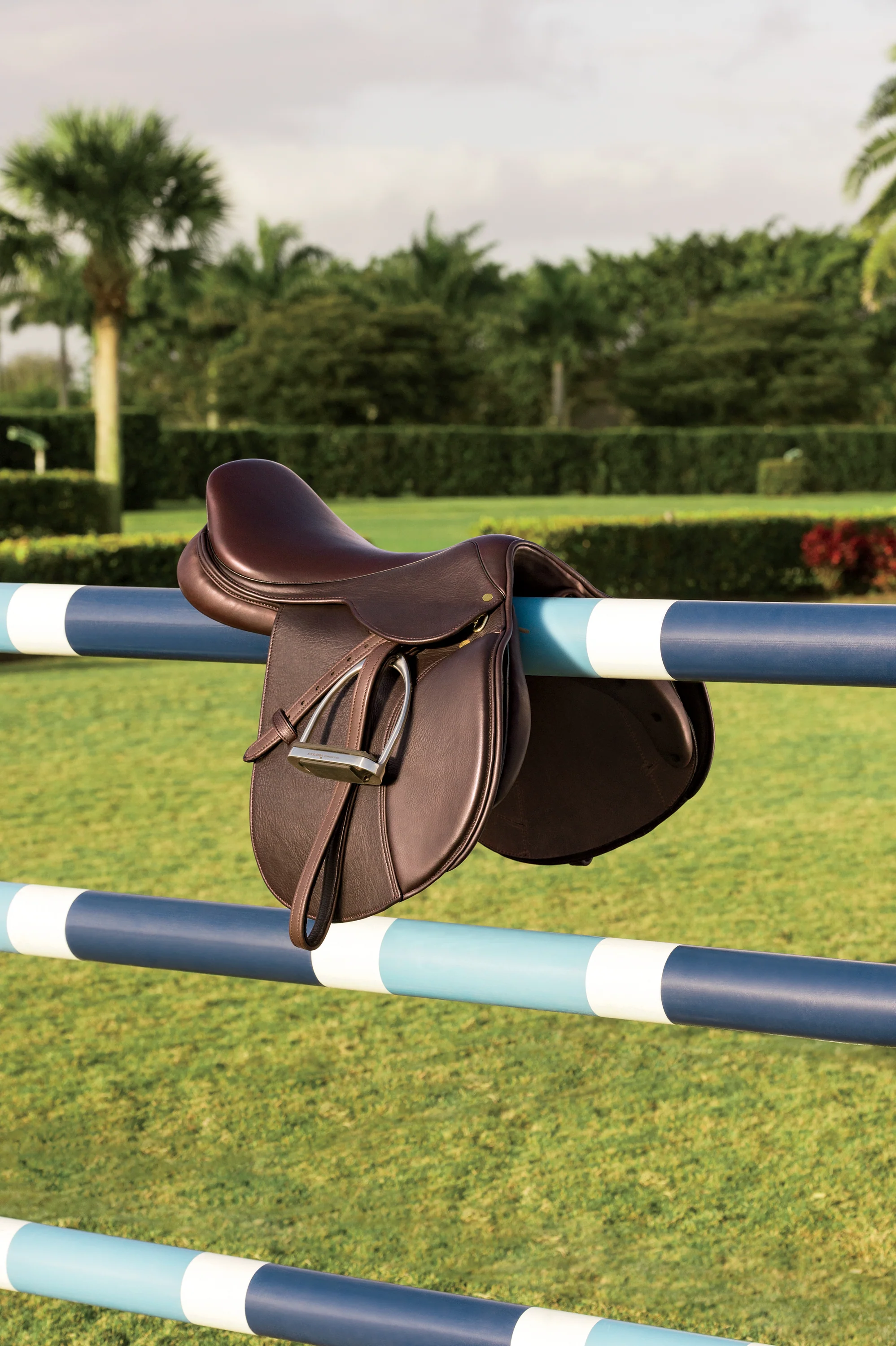 Circuit™ Debut Saddle - Image 2
