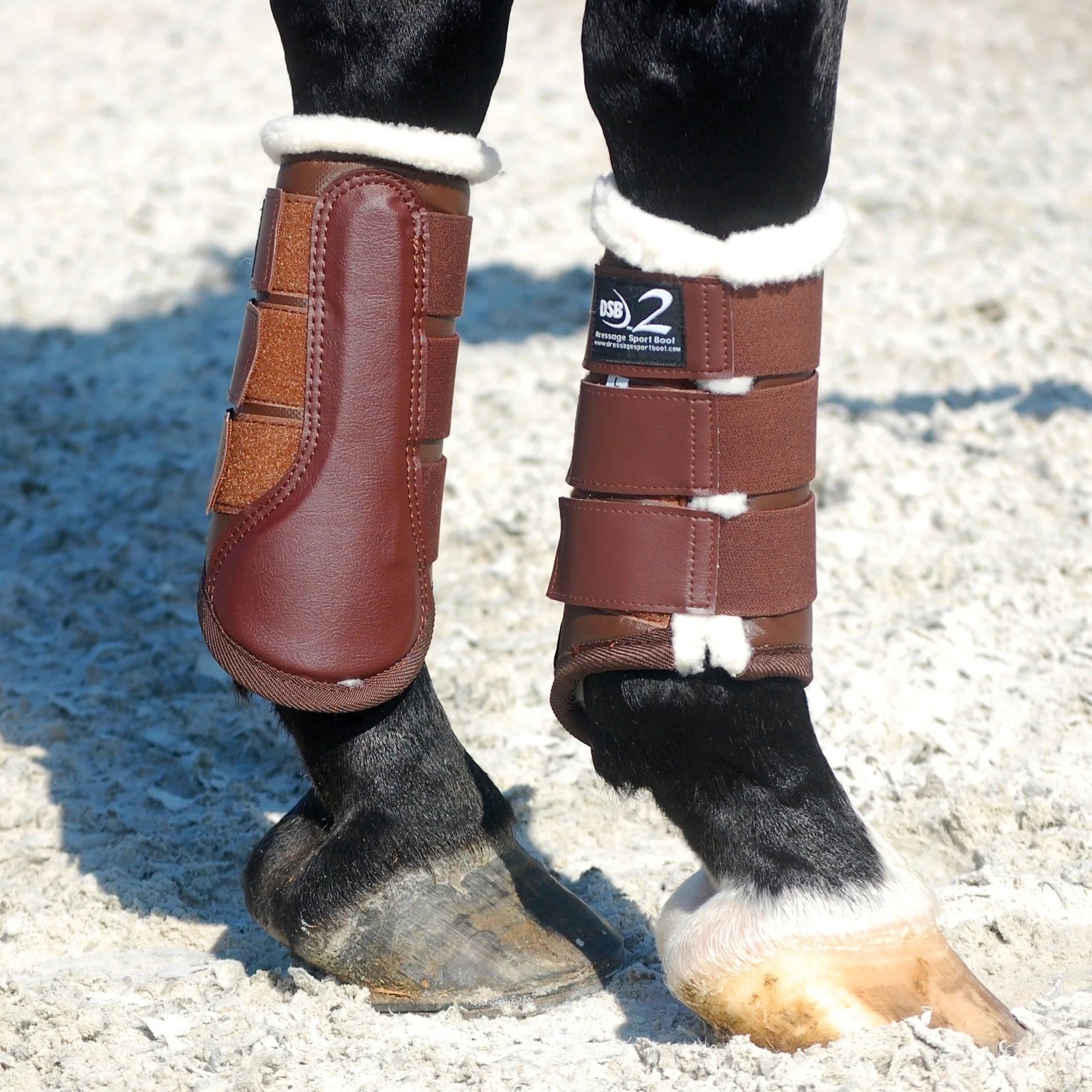 Dressage Sport Boots2 - Image 4