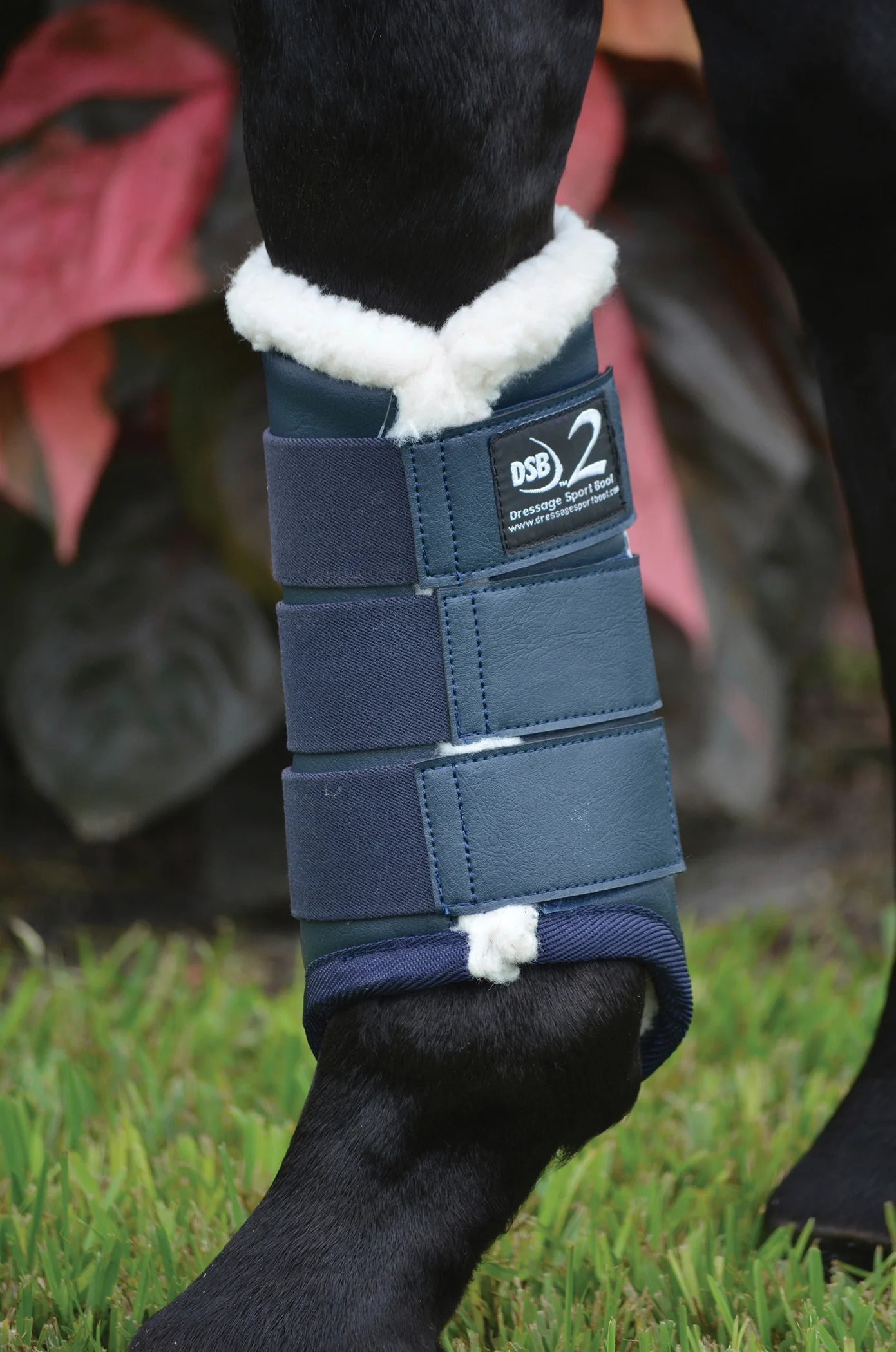Dressage Sport Boots2 - Image 6