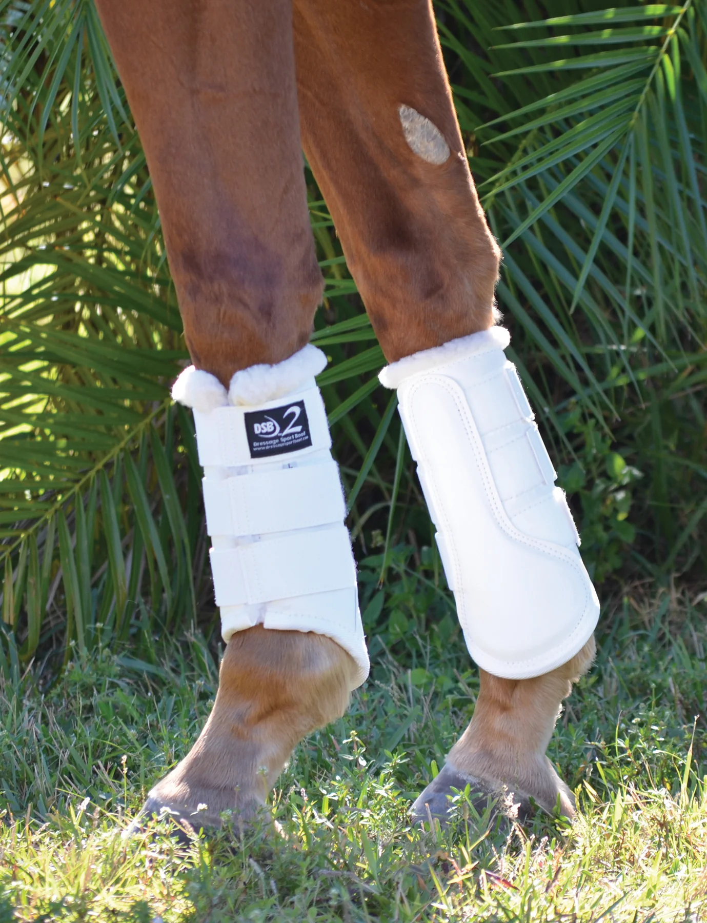 Dressage Sport Boots2 - Image 9