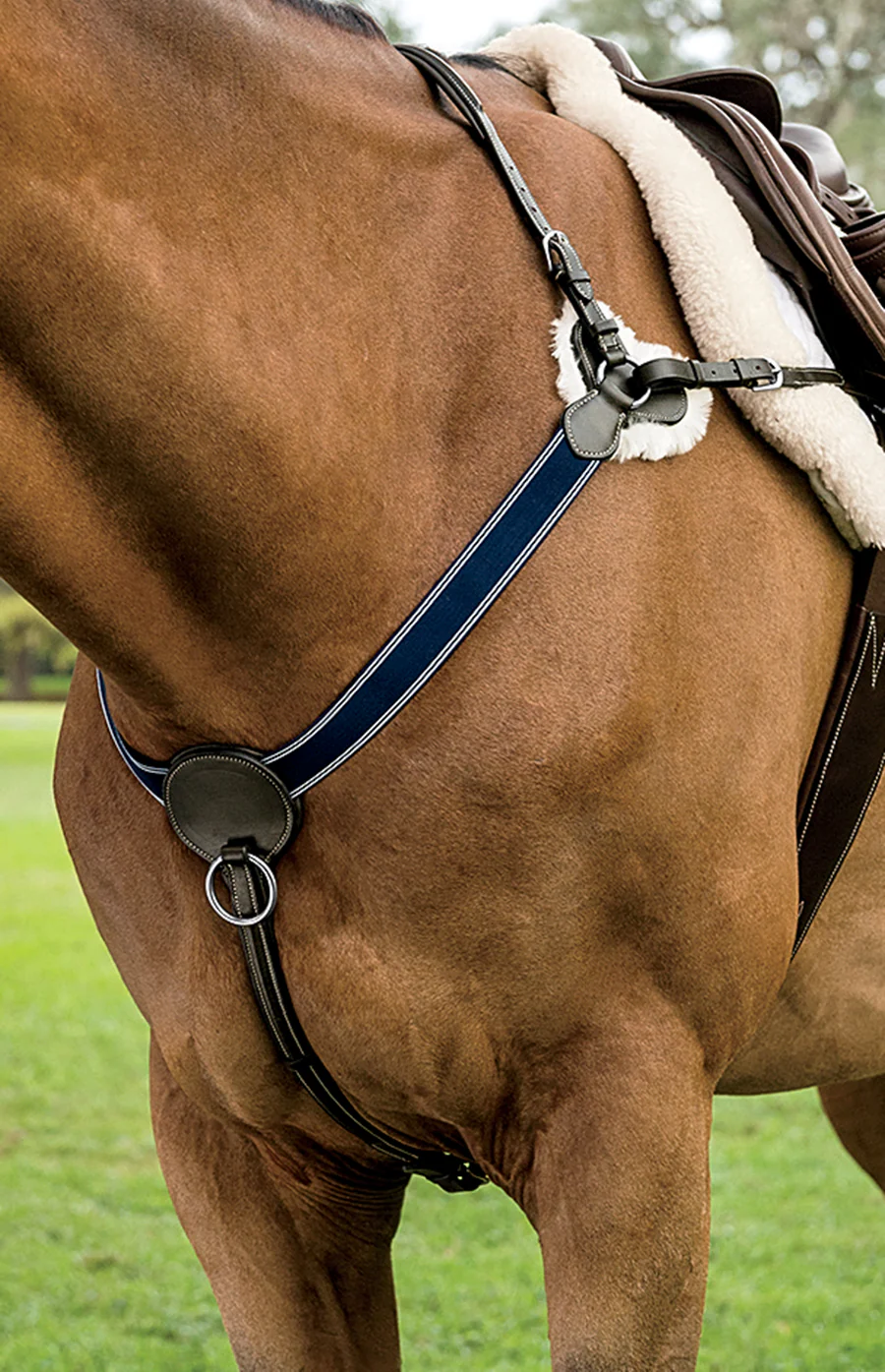 DS 3-Point Breastplate - Image 2