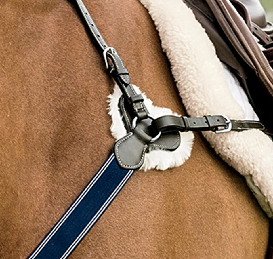 DS 3-Point Breastplate - Image 4