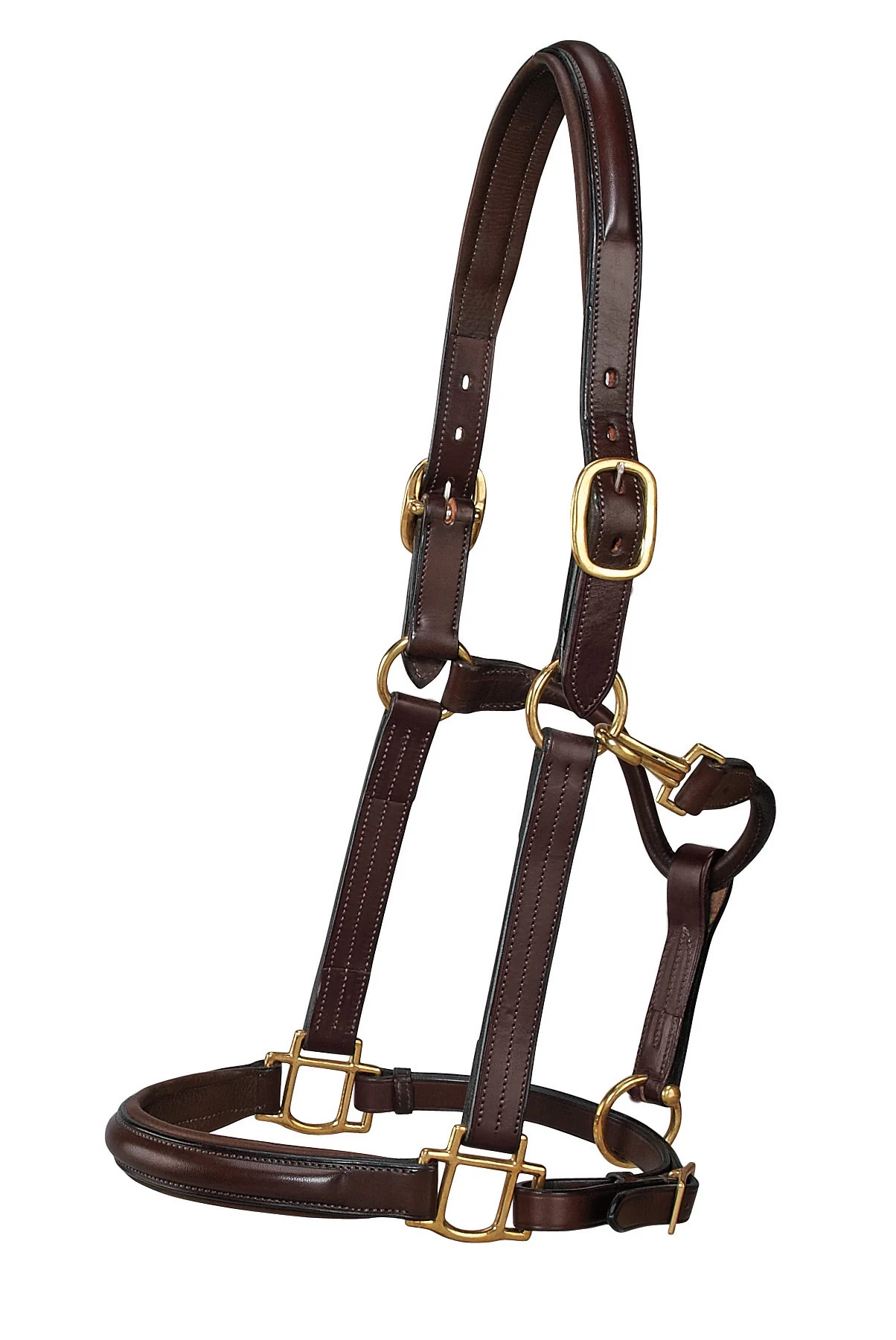 DS Classic Plain Raised Padded Halter - Image 5