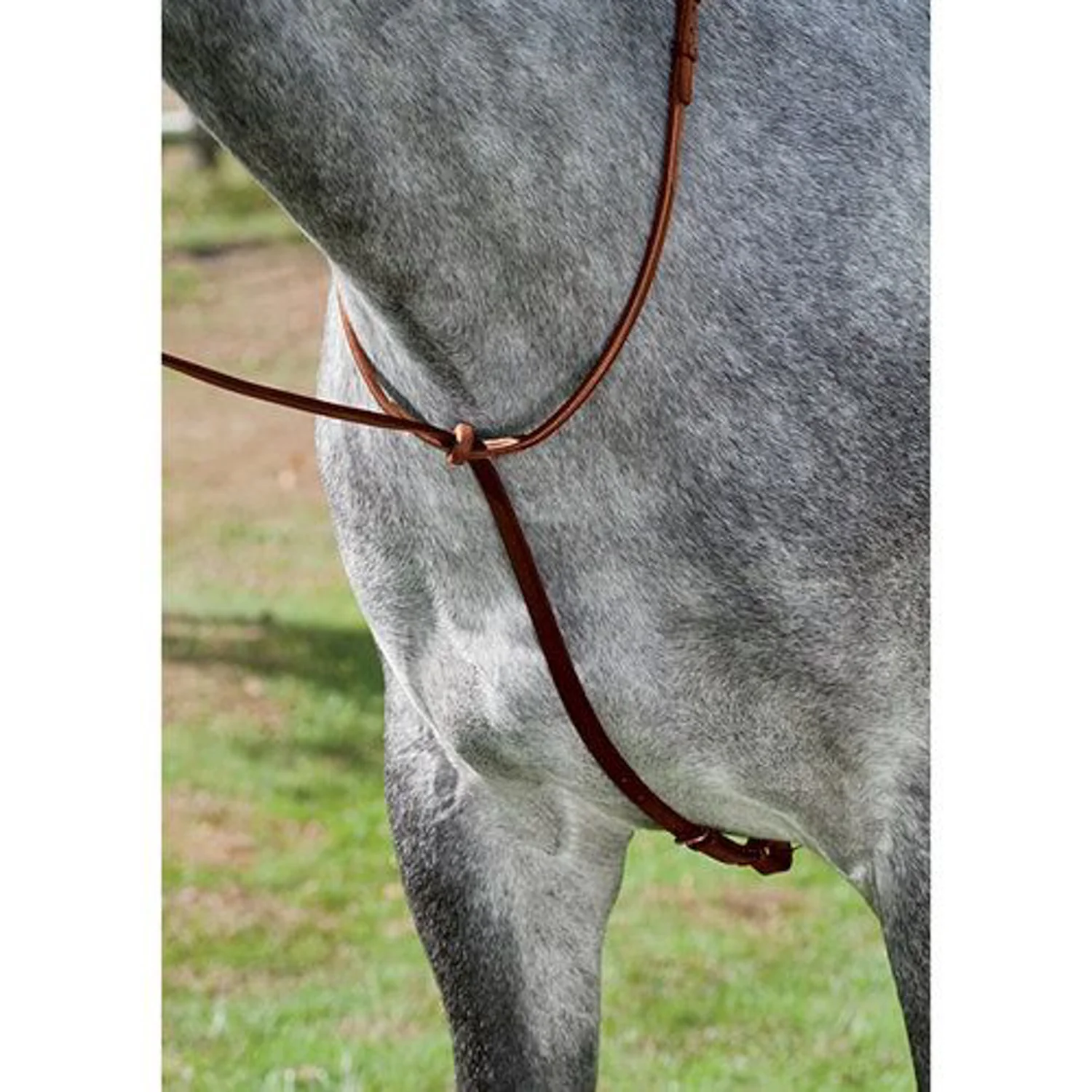 DS Deluxe Standing Martingale - Image 3