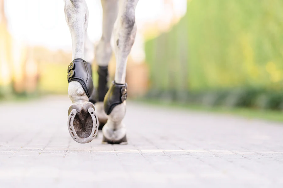 EquiFit® Eq-Teq™ Hind Boots - Image 2