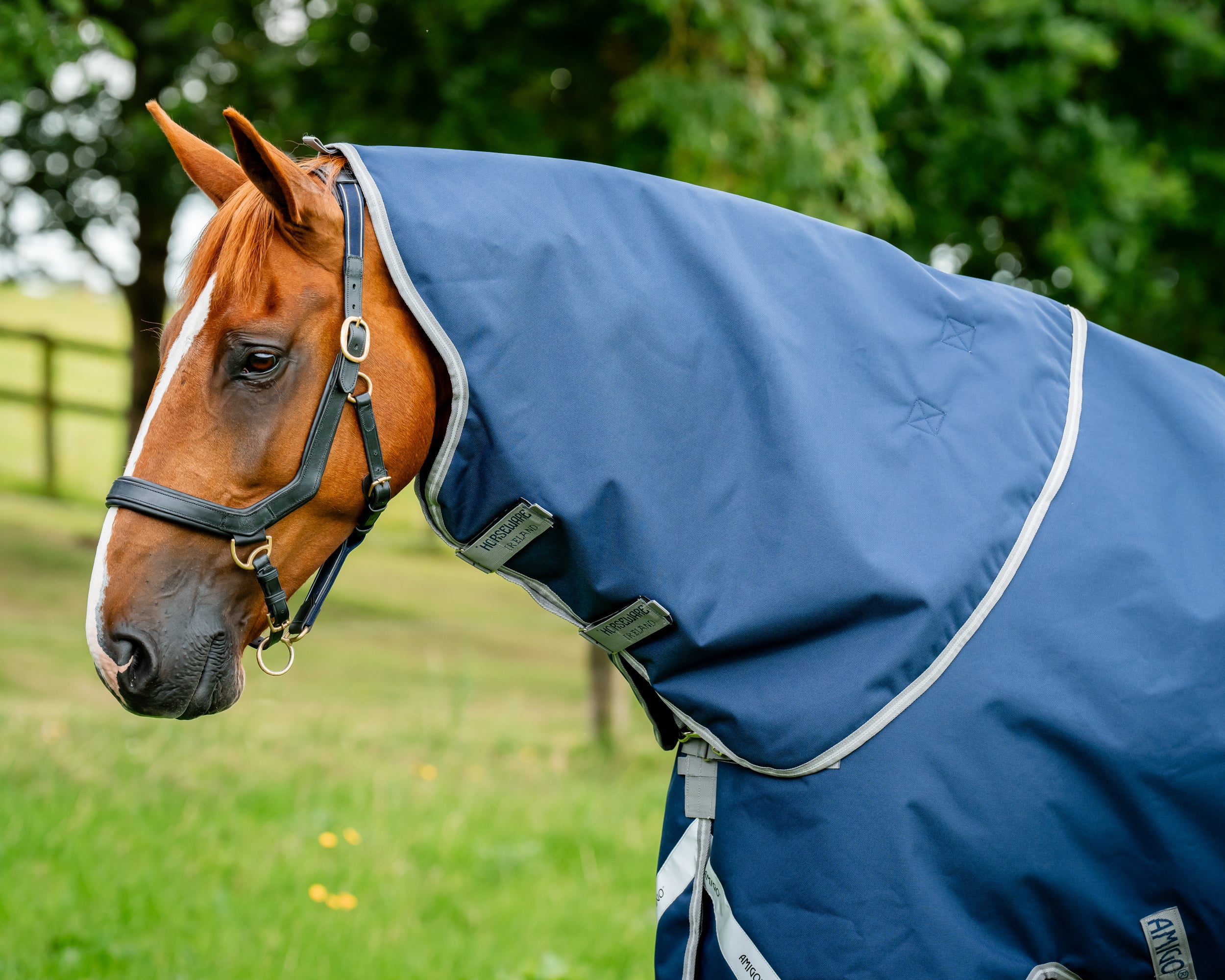 Horseware® Ireland Amigo® 1200D Plus Turnout 250 Gram - Image 10