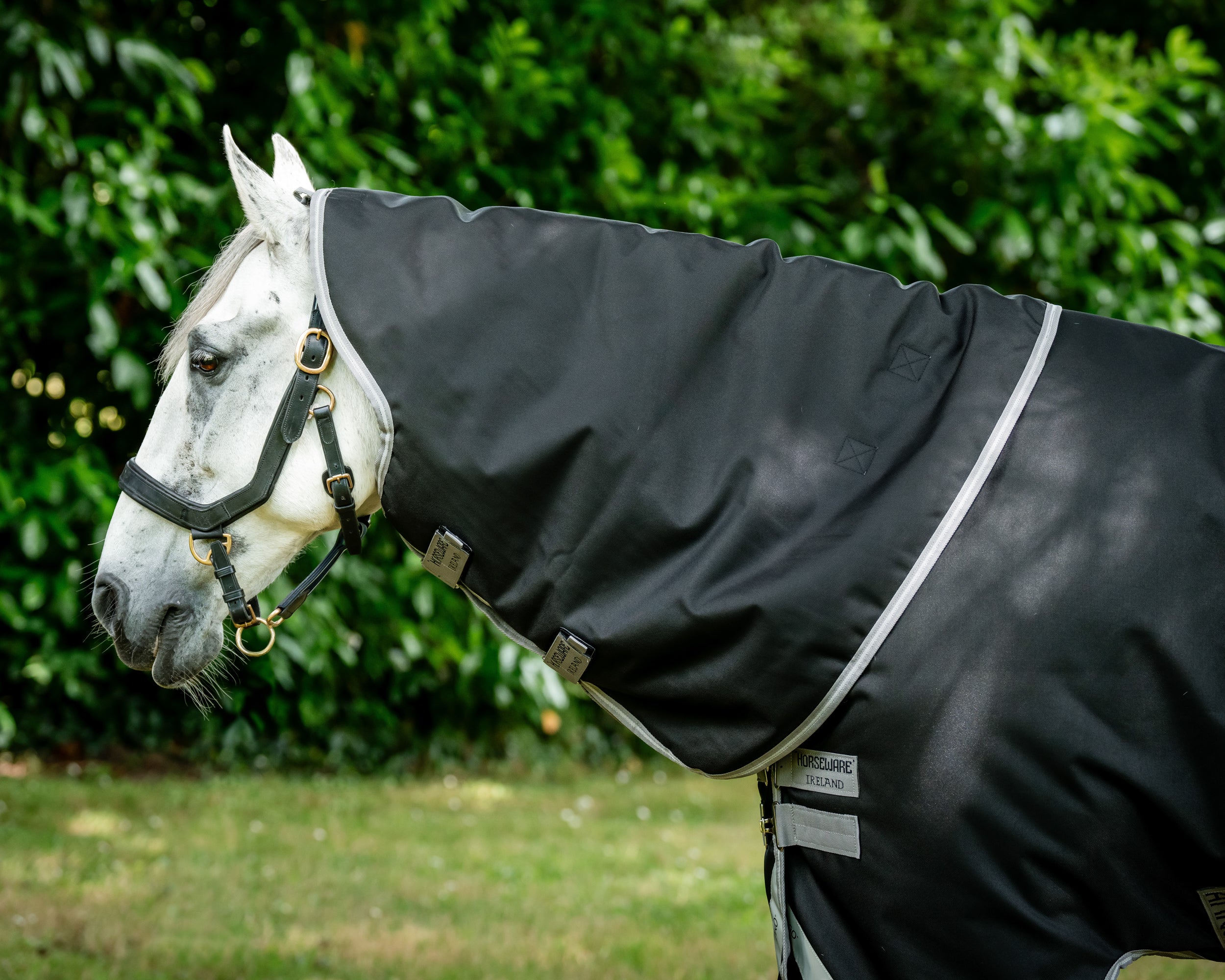Horseware® Ireland Amigo® 1200D Plus Turnout 250 Gram - Image 3