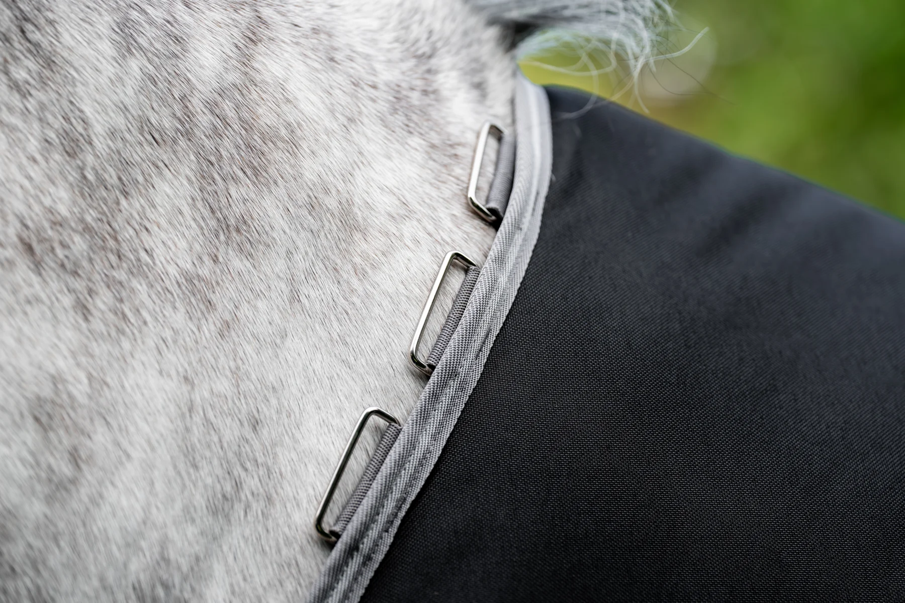 Horseware® Ireland Amigo® 1200D Plus Turnout 250 Gram - Image 4