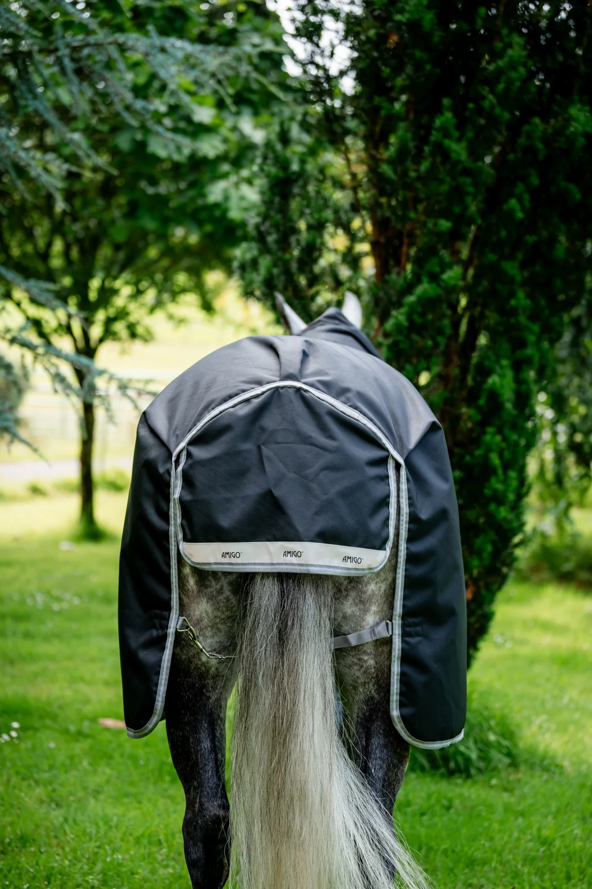 Horseware® Ireland Amigo® 1200D Plus Turnout 250 Gram - Image 8