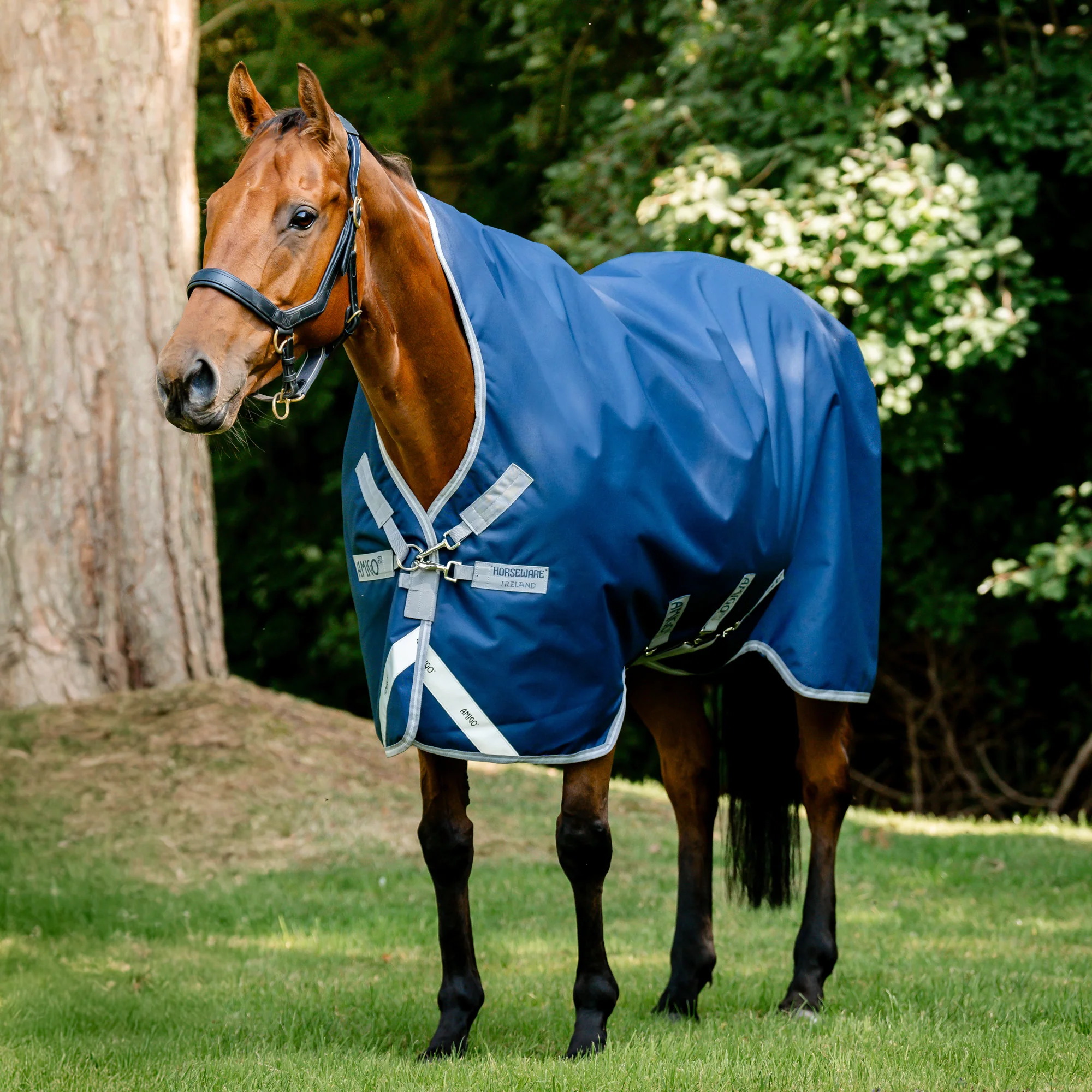 Horseware® Ireland Amigo® 1200D Wug Turnout Sheet