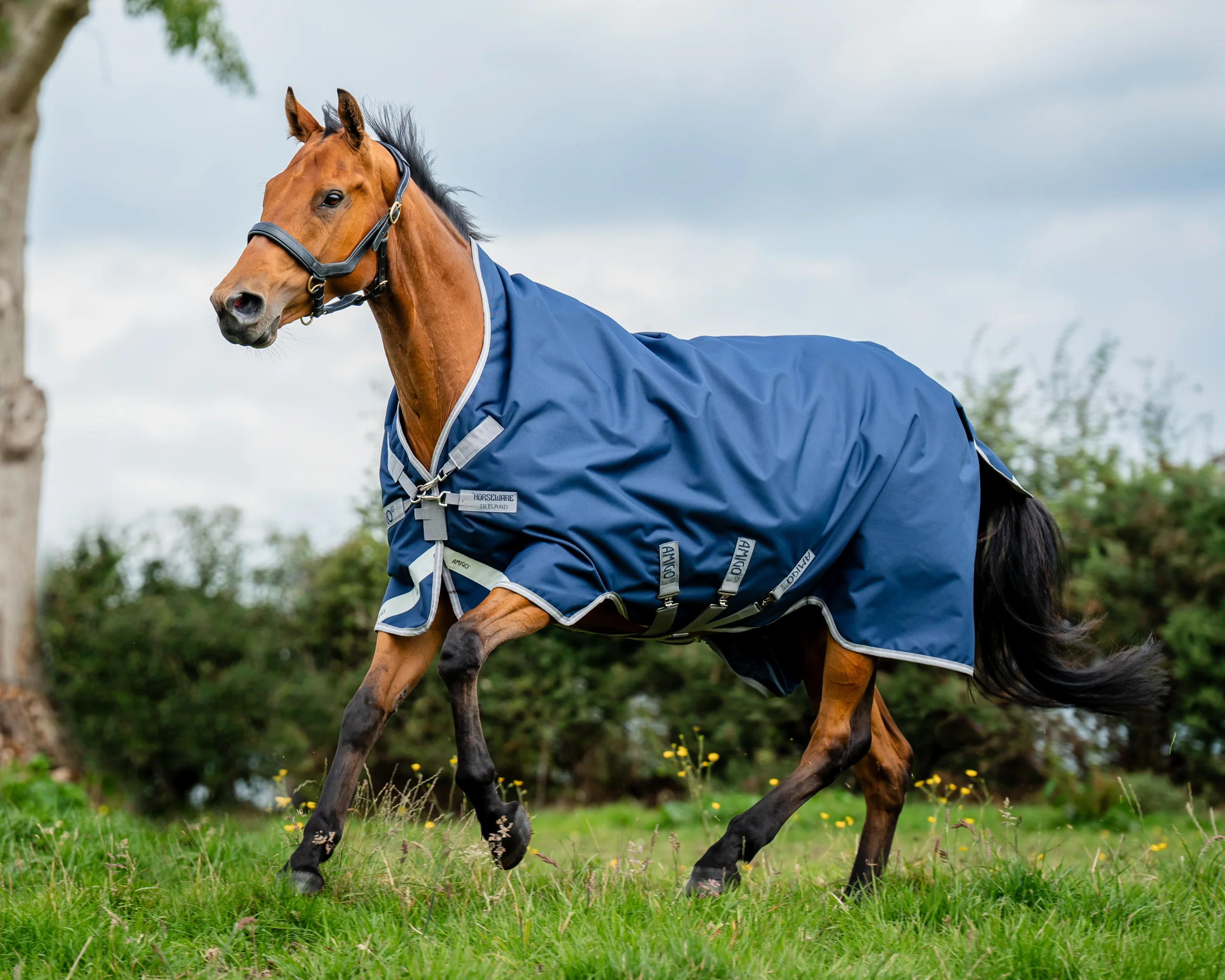 Horseware® Ireland Amigo® 1200D Wug Turnout Sheet - Image 9