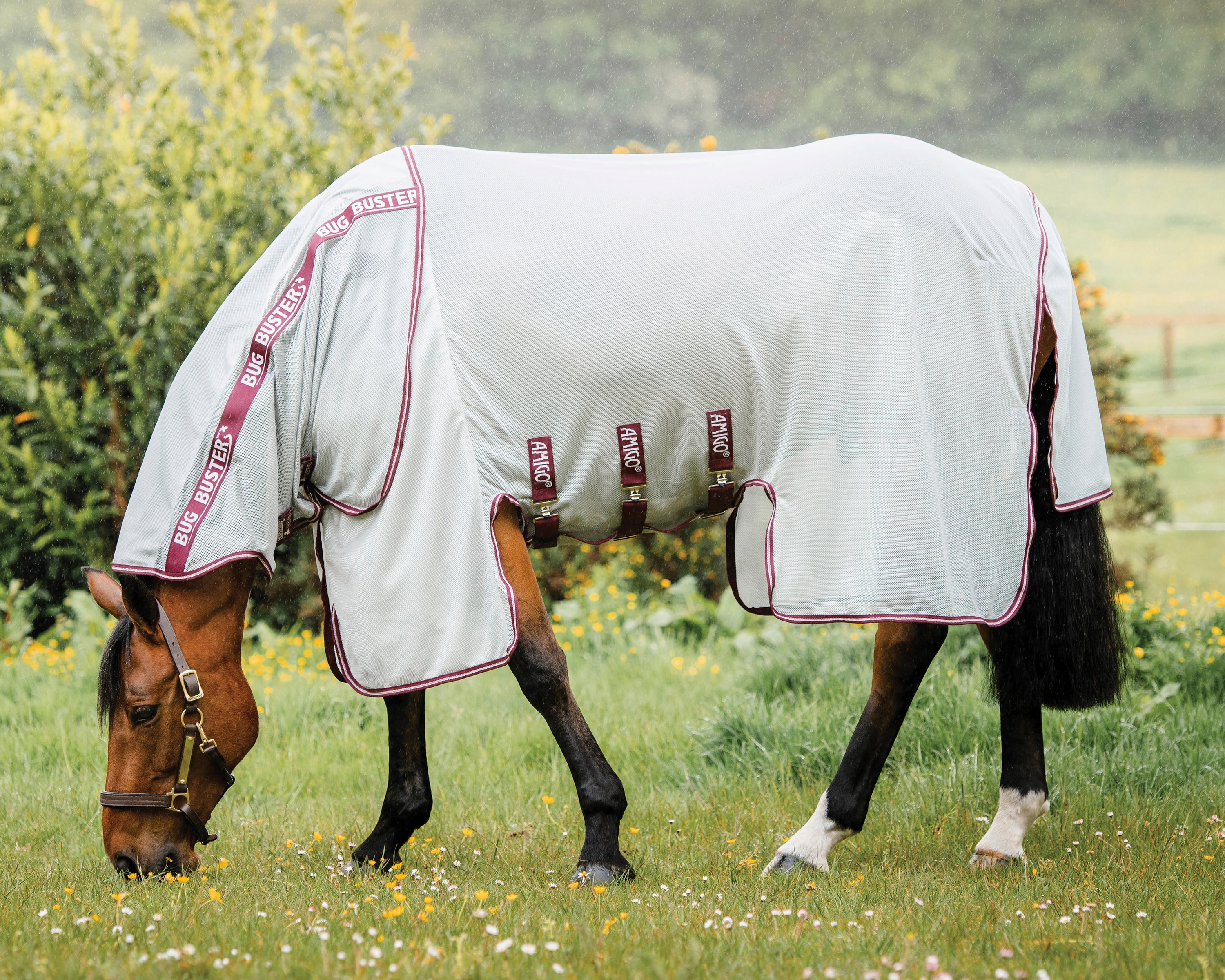 Horseware® Ireland Amigo® Bug Buster® with No-Fly Zone™ - Image 4