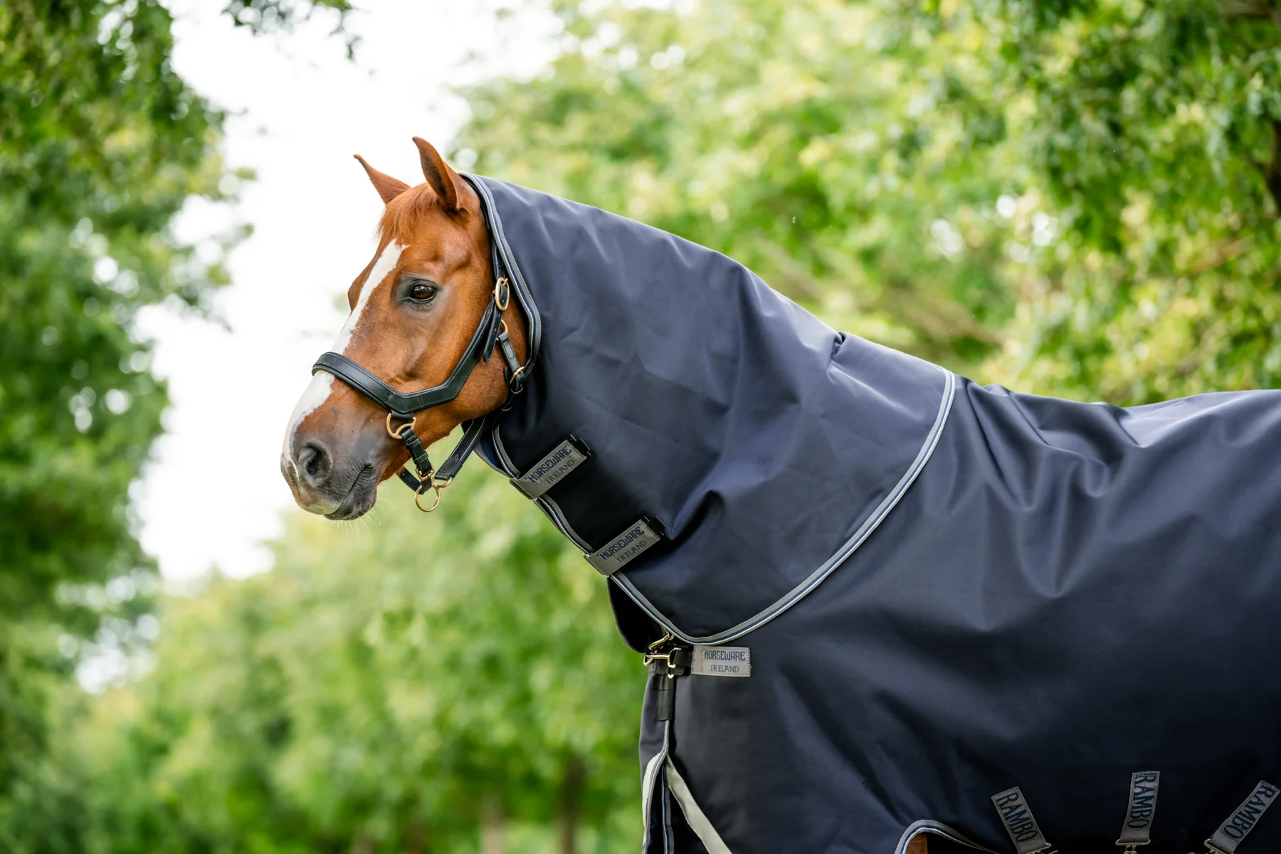 Horseware® Ireland Rambo® 1680 Plus Turnout Sheet - Image 4