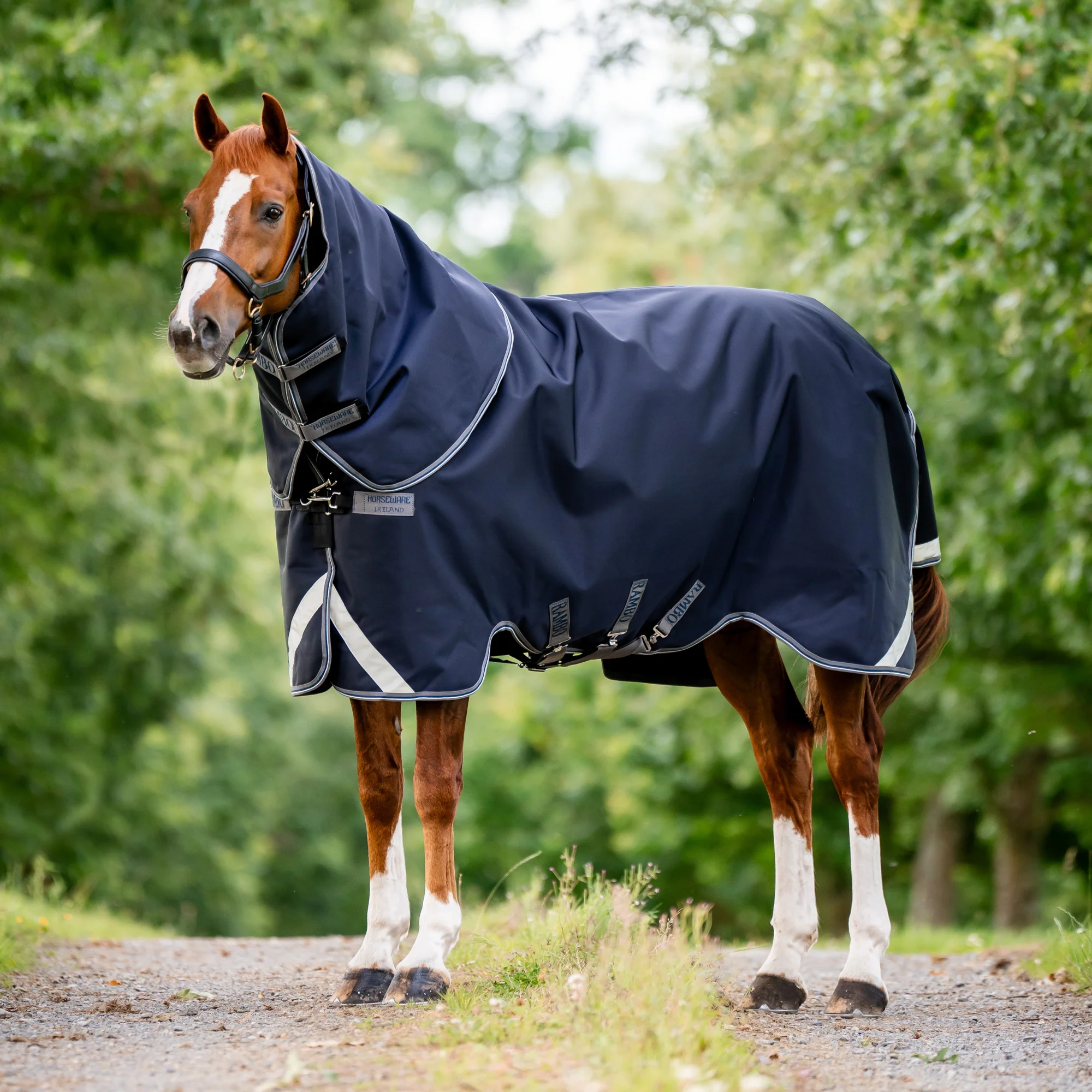 Horseware® Ireland Rambo® 1680D Vari-Layer Plus Medium Turnout–250G - Image 3