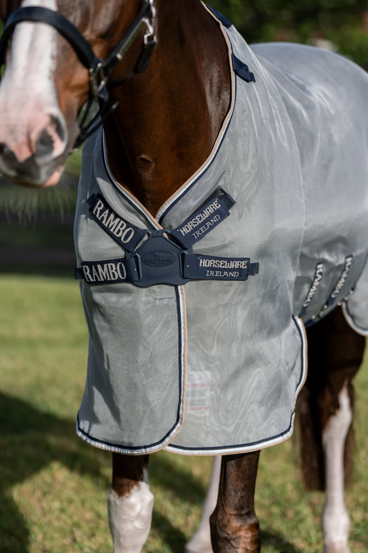 Horseware® Ireland Rambo® Protector Fieldsafe Plus - Image 3