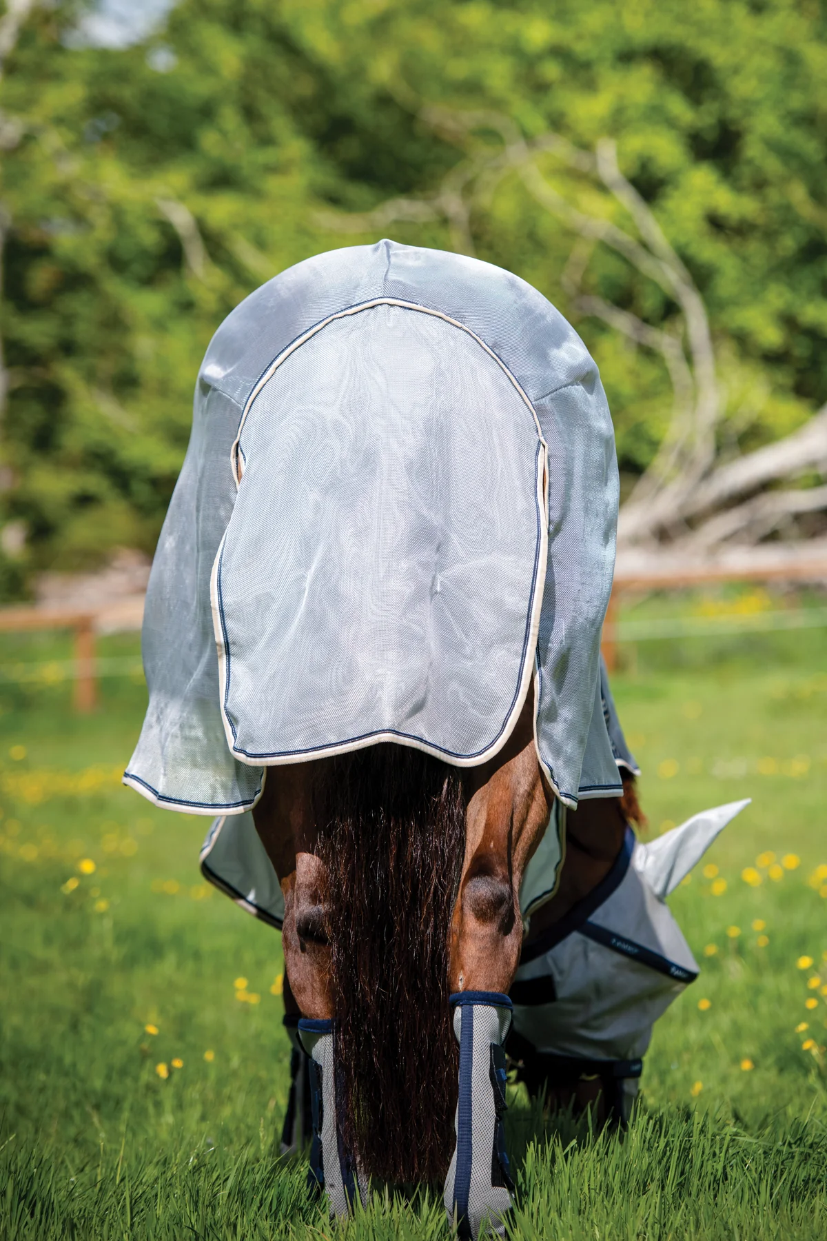 Horseware® Ireland Rambo® Protector Fly Sheet - Image 3