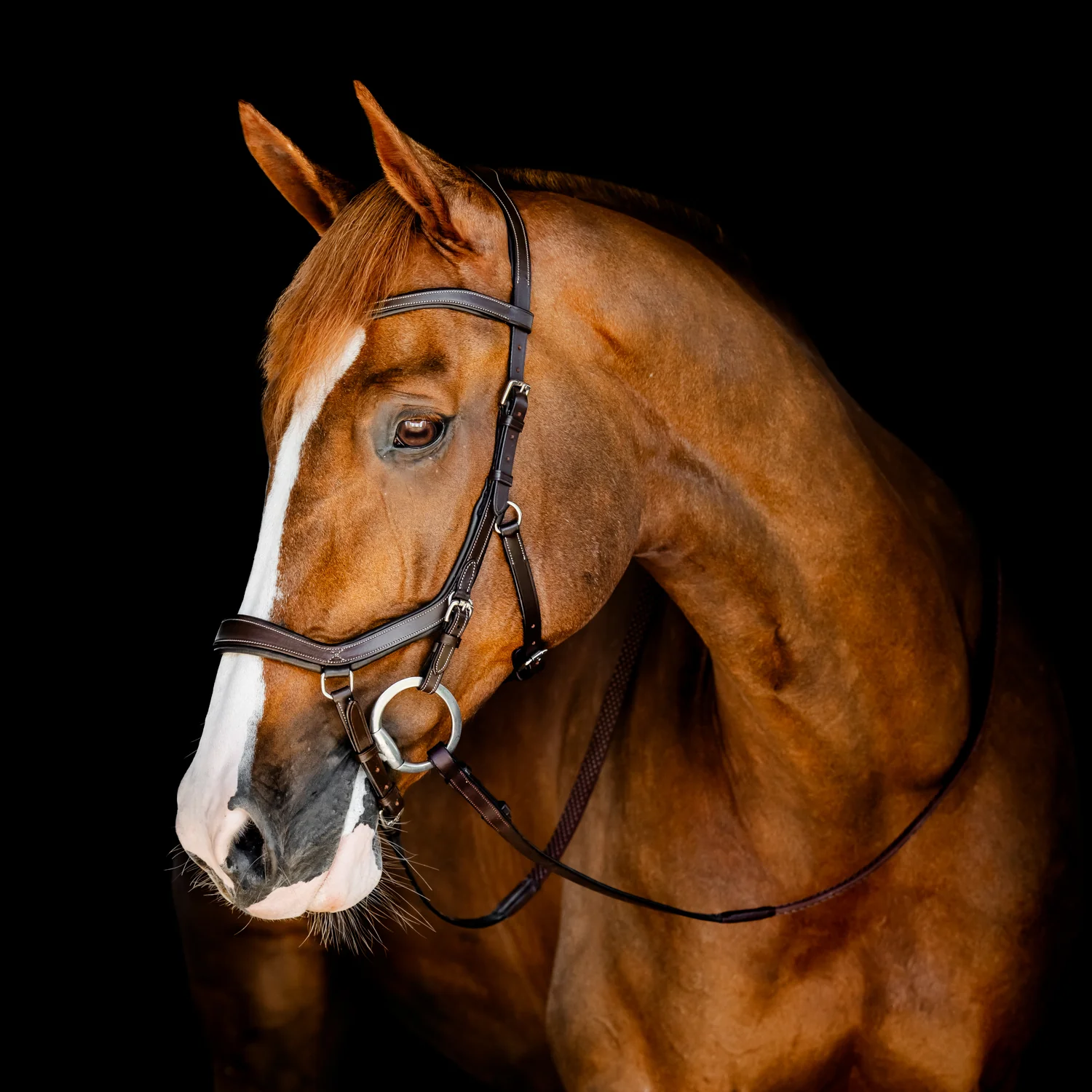 Horseware® Micklem Competition Bridle - Image 2