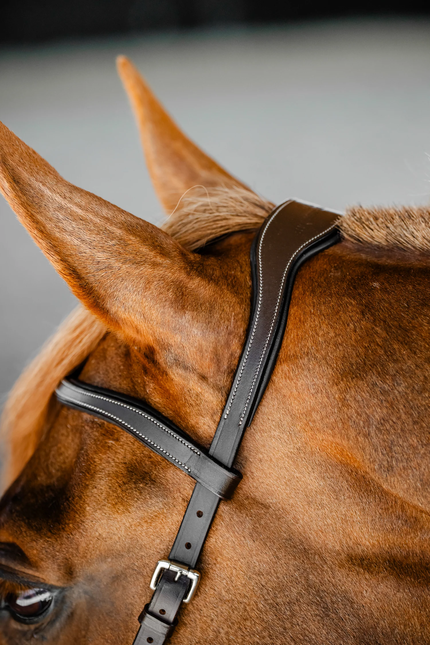 Horseware® Micklem Competition Bridle - Image 4