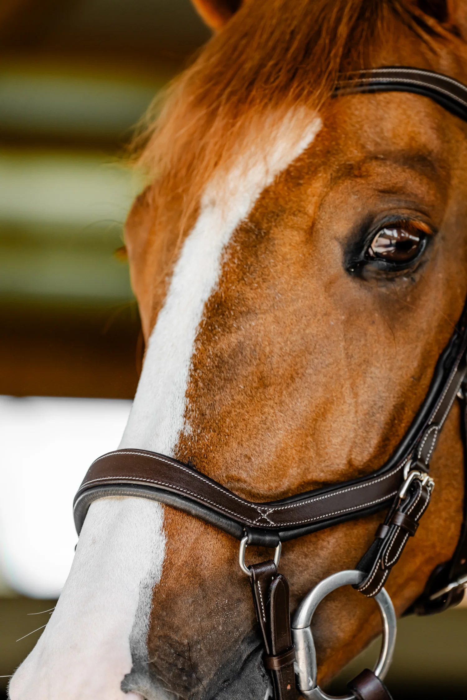 Horseware® Micklem Competition Bridle - Image 6