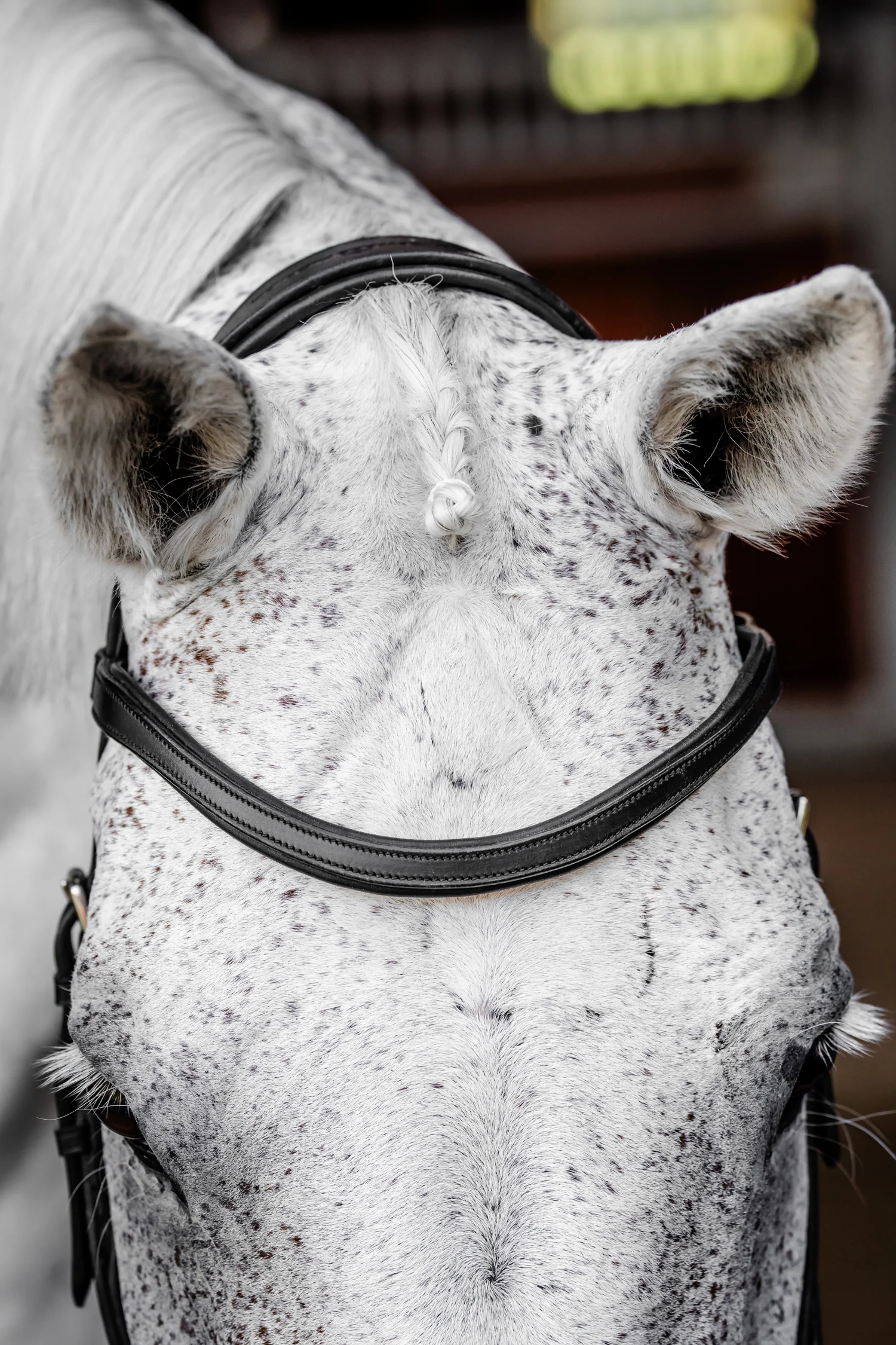Horseware® Micklem Competition Bridle - Image 9