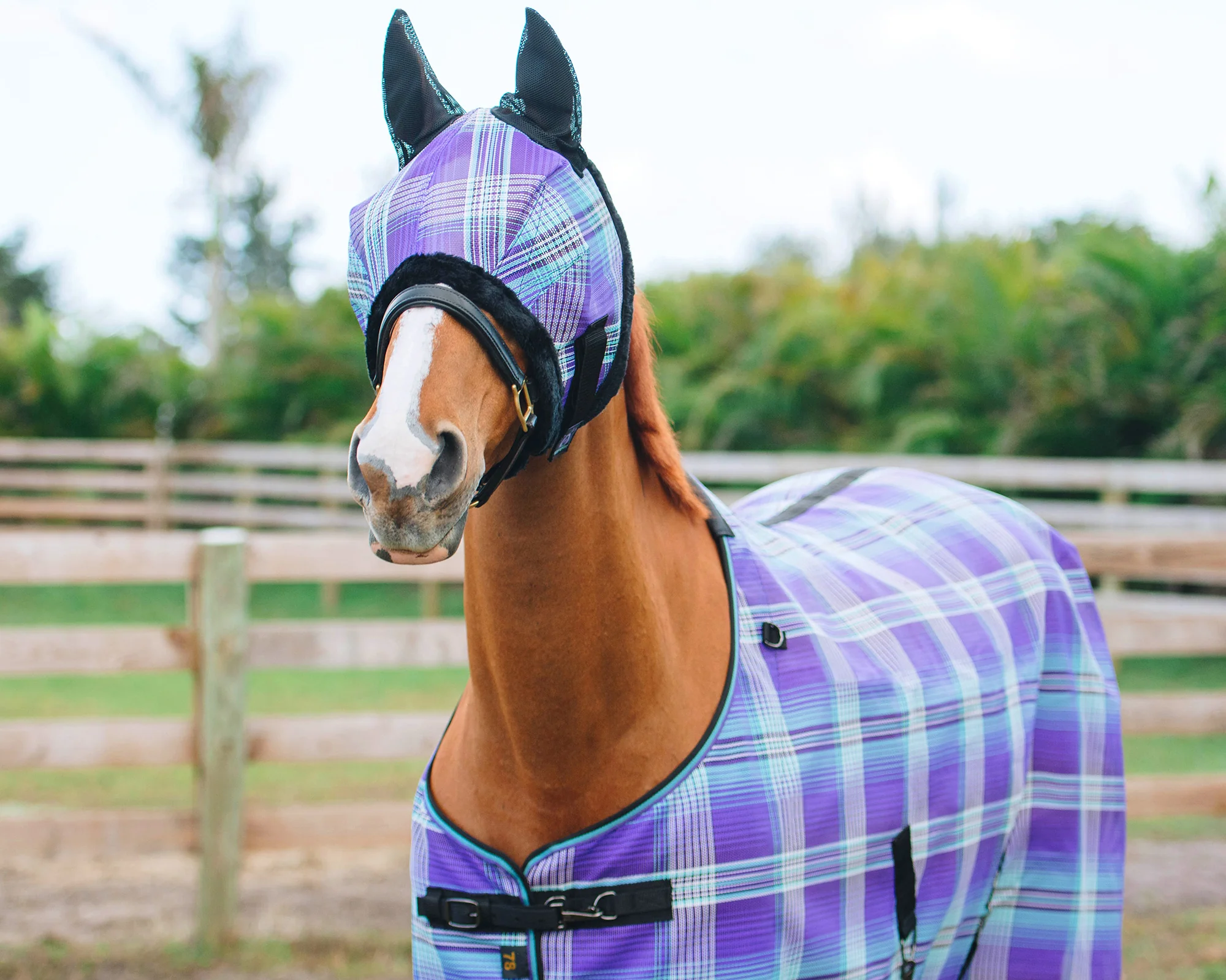Kensington™ Signature Protective SureFit® Textilene®Fly Sheet - Image 14