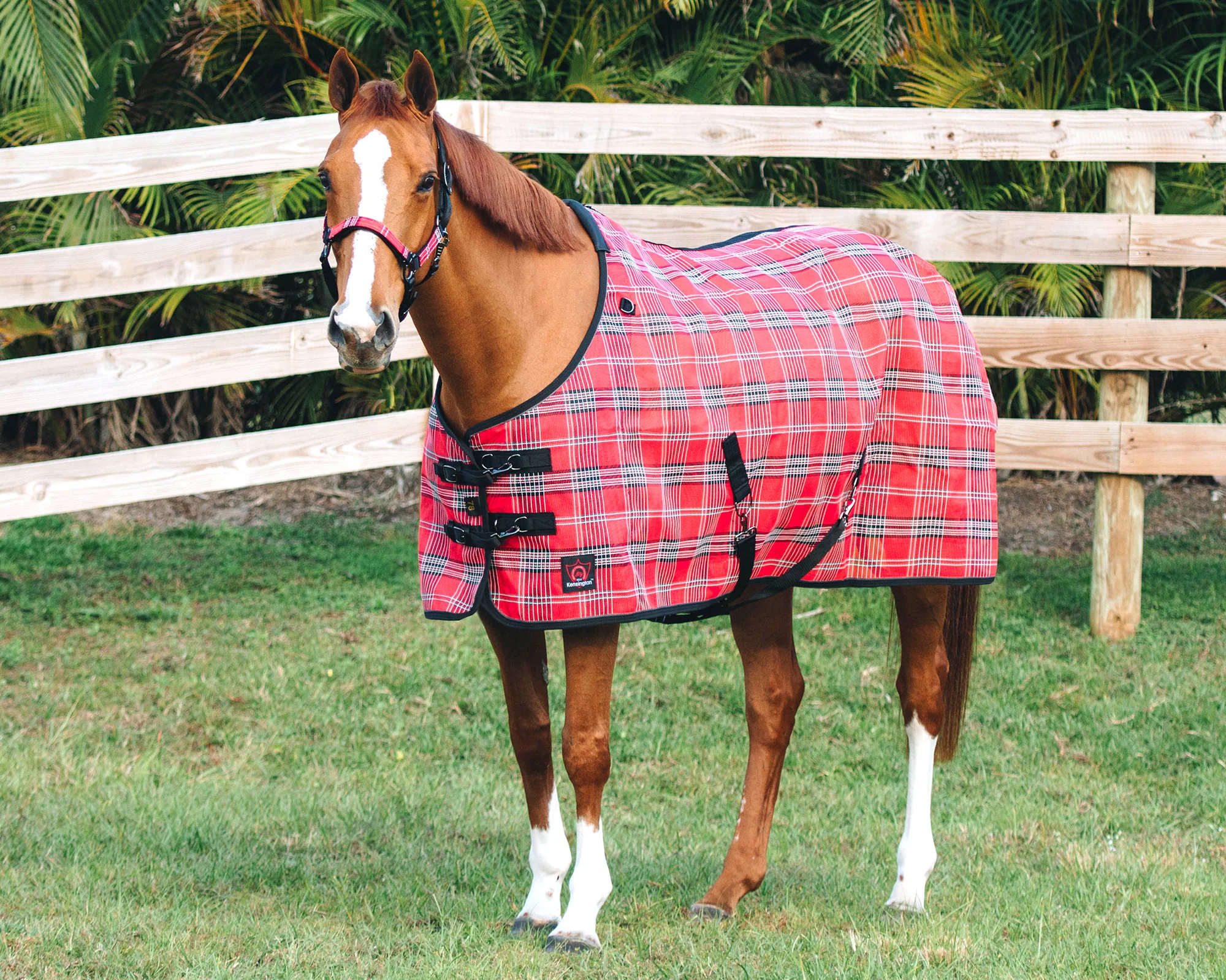 Kensington™ Signature Protective SureFit® Textilene®Fly Sheet - Image 23