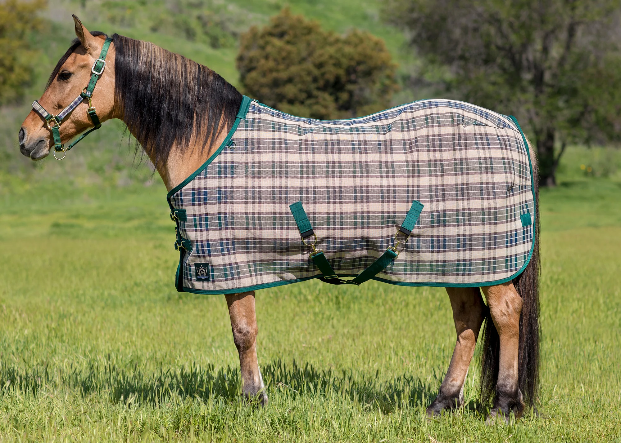 Kensington™ Signature Protective SureFit® Textilene®Fly Sheet - Image 30