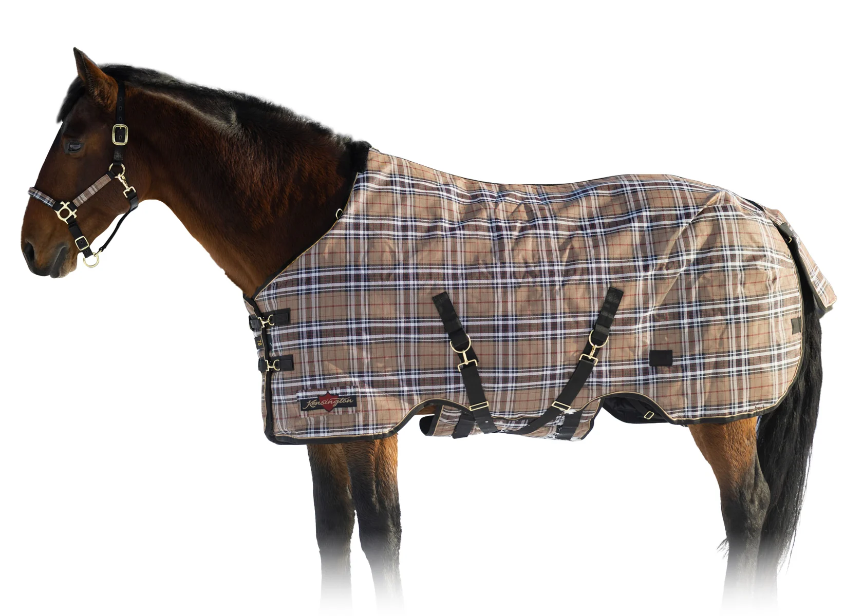 Kensington™ SuperMesh 300 Gram Heavyweight Turnout Blanket - Image 3