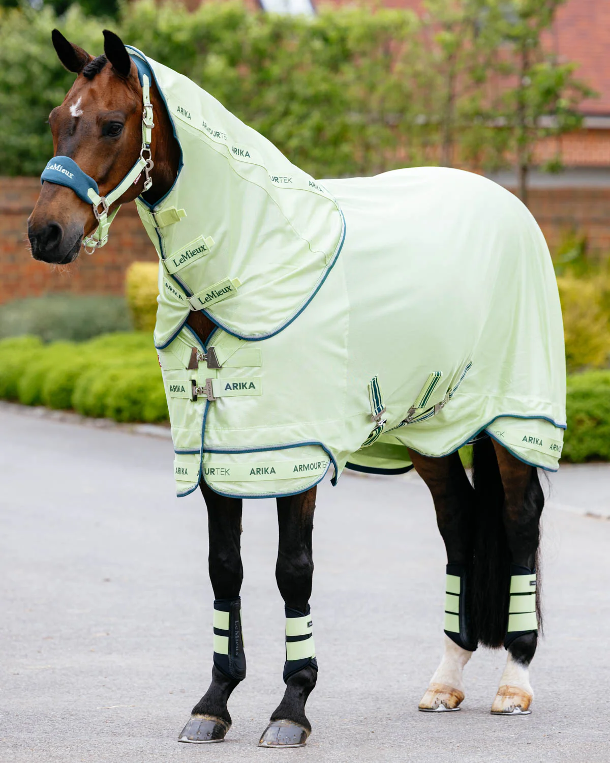 LeMieux® Arika Armour-Tek Fly Sheet - Image 7