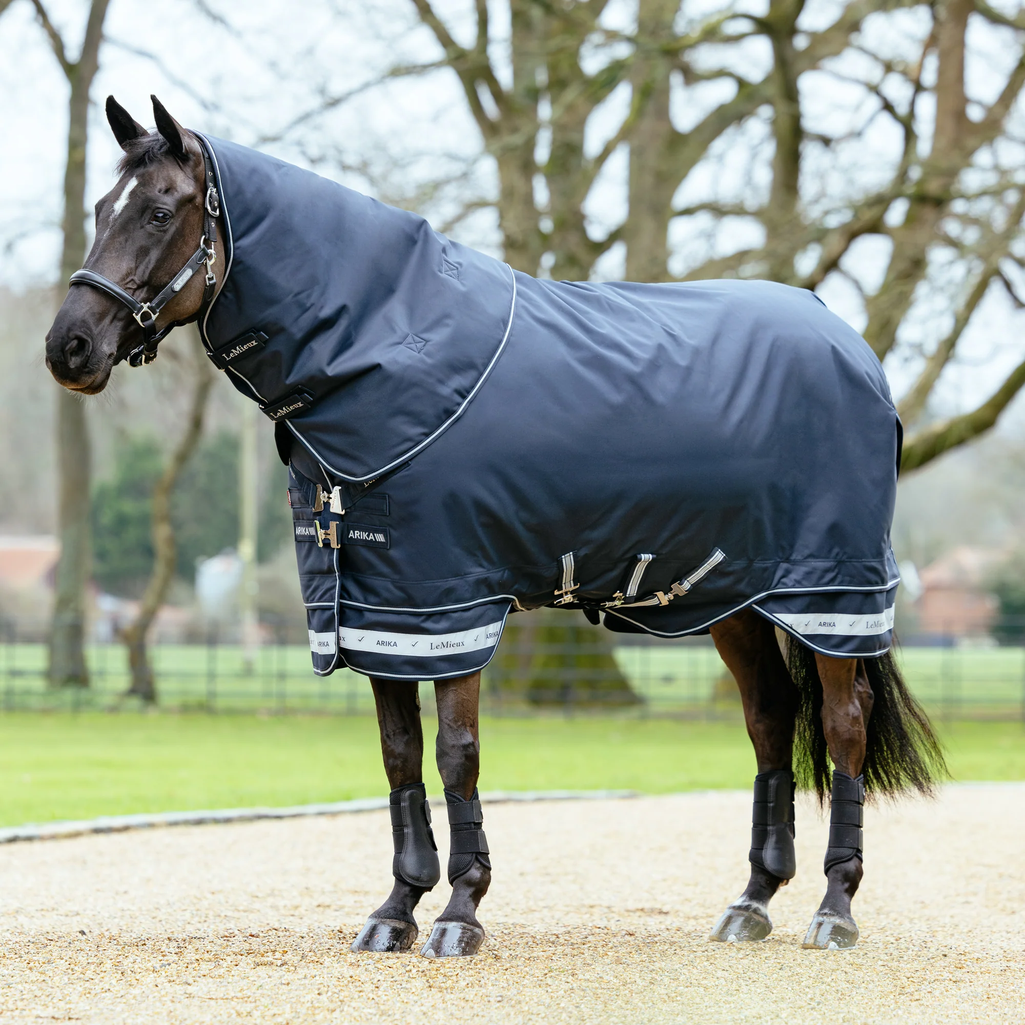 LeMieux® Arika Storm-Tek 350 Gram Turnout Blanket with Leg Straps