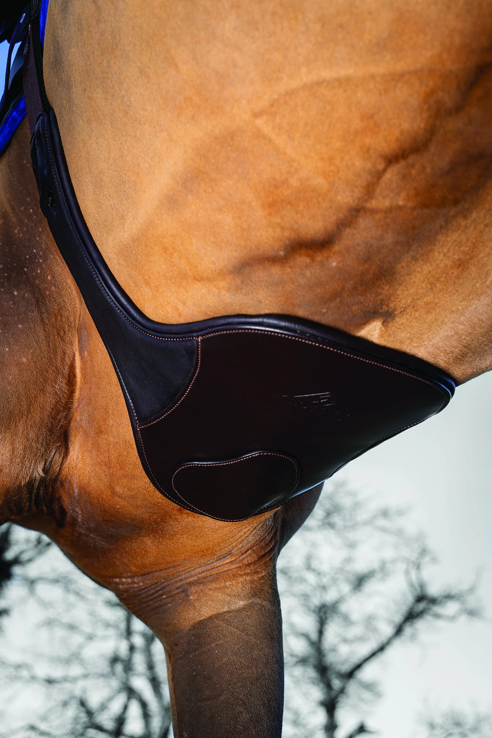 LeMieux® Gel-Tek Anatomic Long Stud Girth with Magnet - Image 2