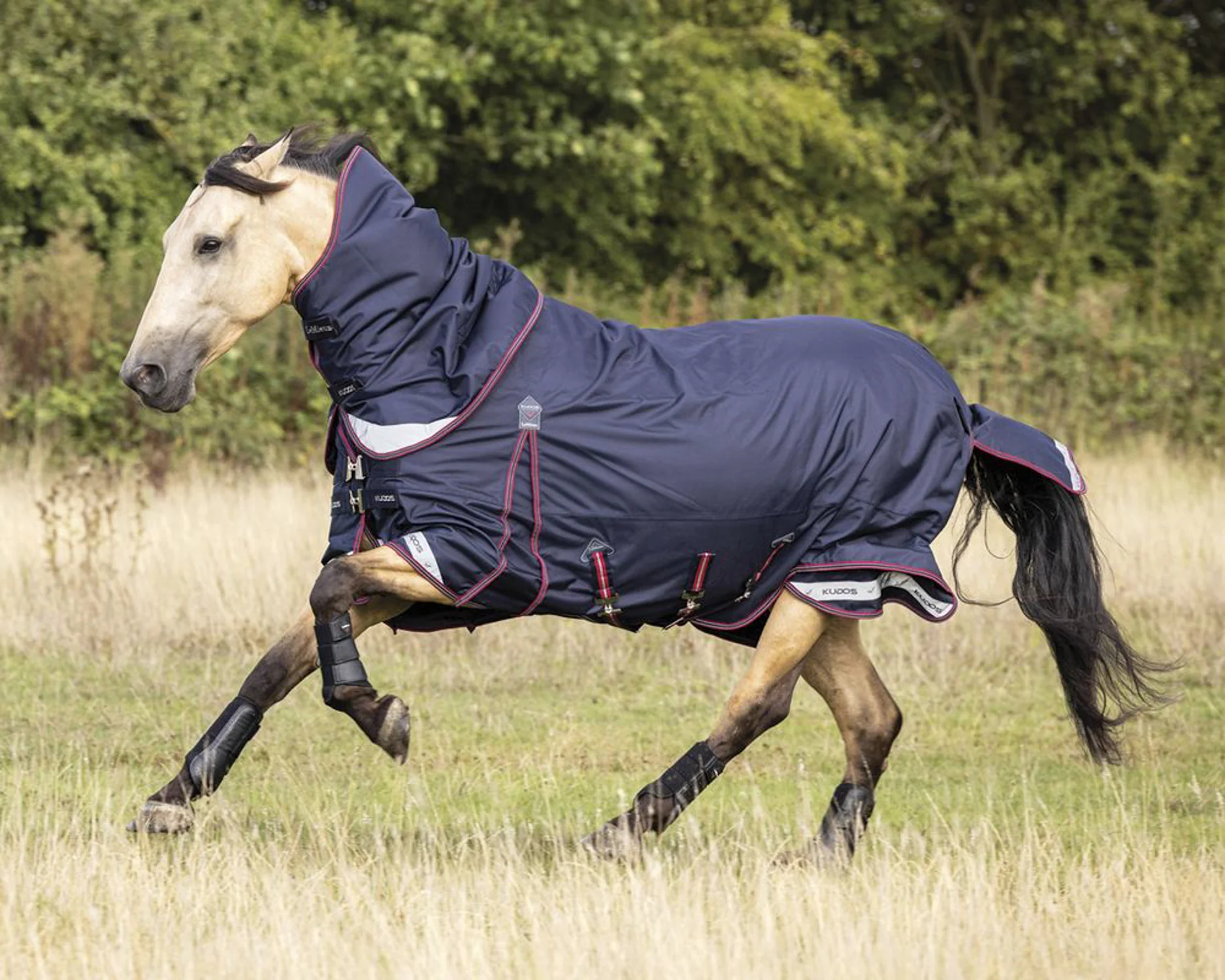 LeMieux® Kudos 100 Gram Turnout Blanket with Leg Straps - Image 2