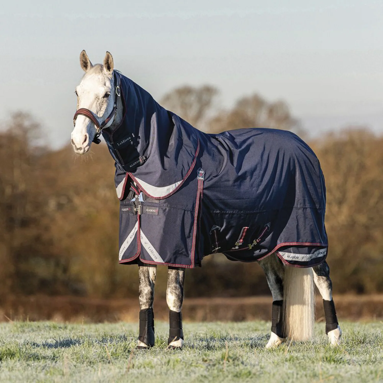 LeMieux® Kudos 200 Gram Turnout Blanket with Leg Straps