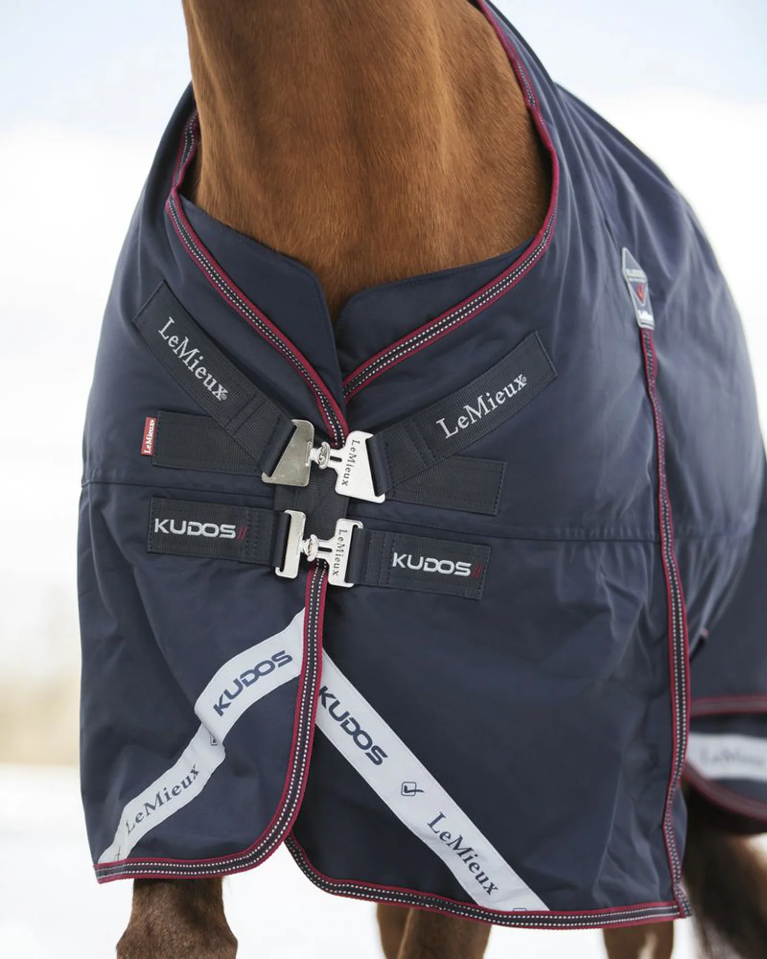 LeMieux® Kudos 200 Gram Turnout Blanket with Leg Straps - Image 2