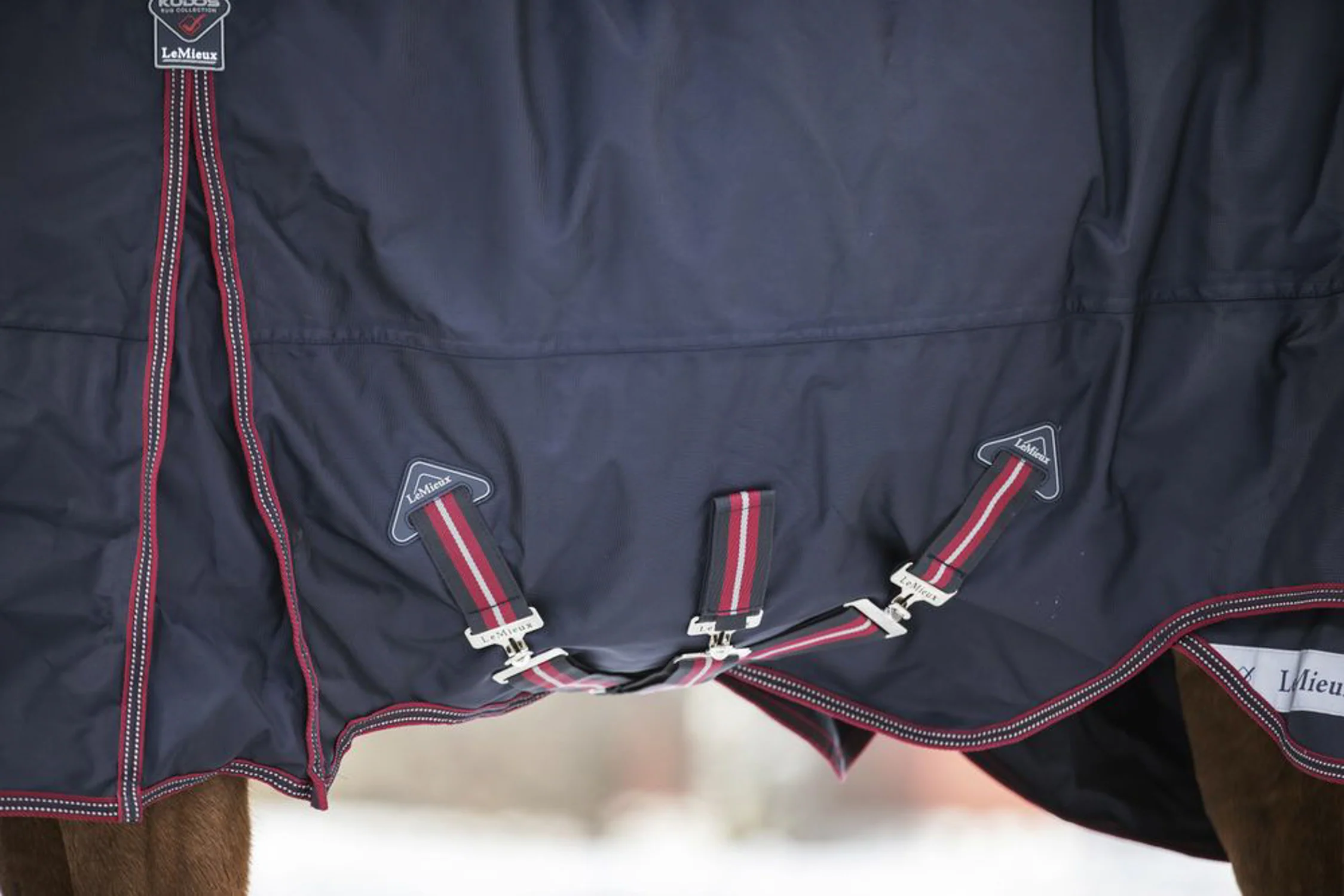 LeMieux® Kudos 200 Gram Turnout Blanket with Leg Straps - Image 3