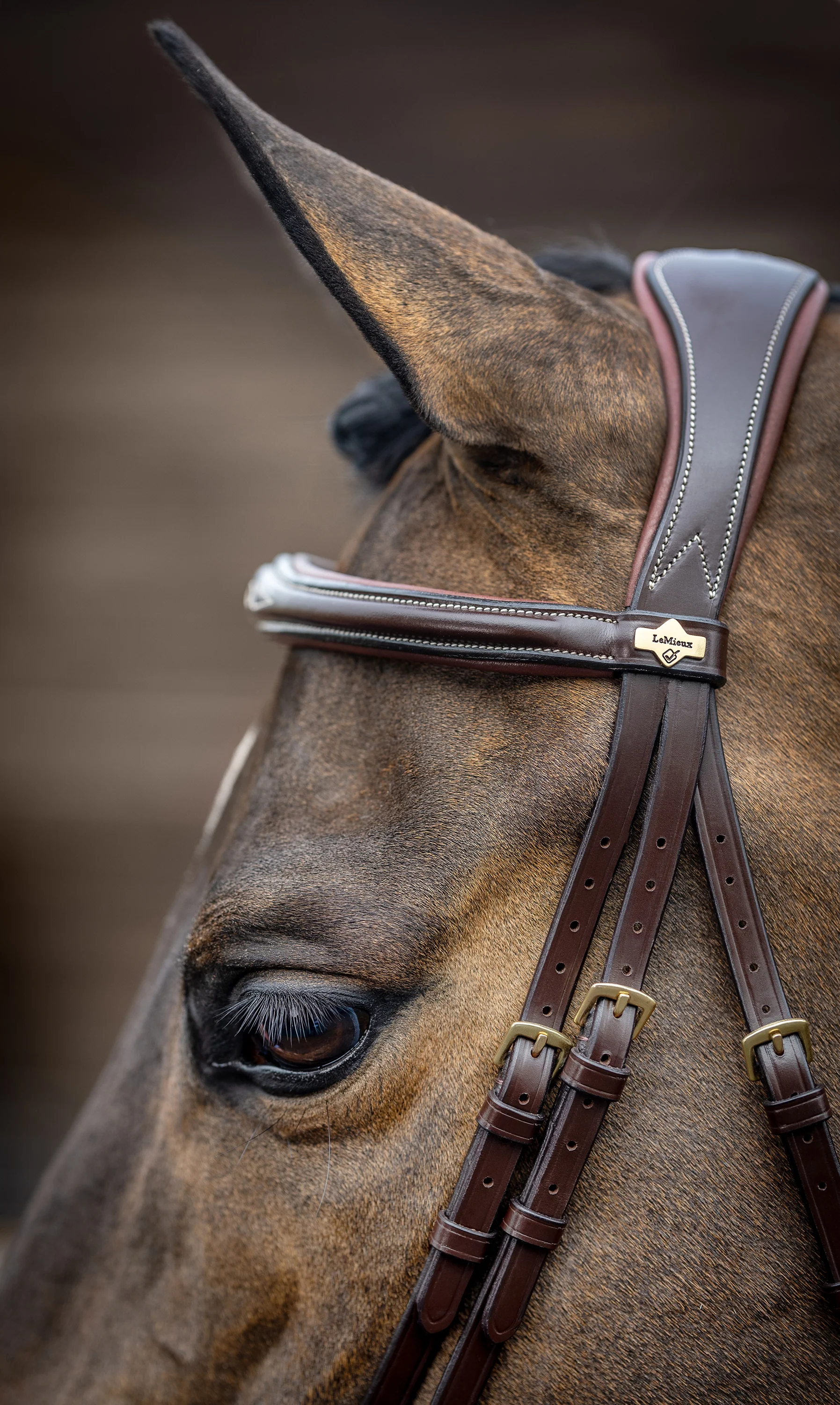 LeMieux® Kudos Competition Flash Bridle - Image 7