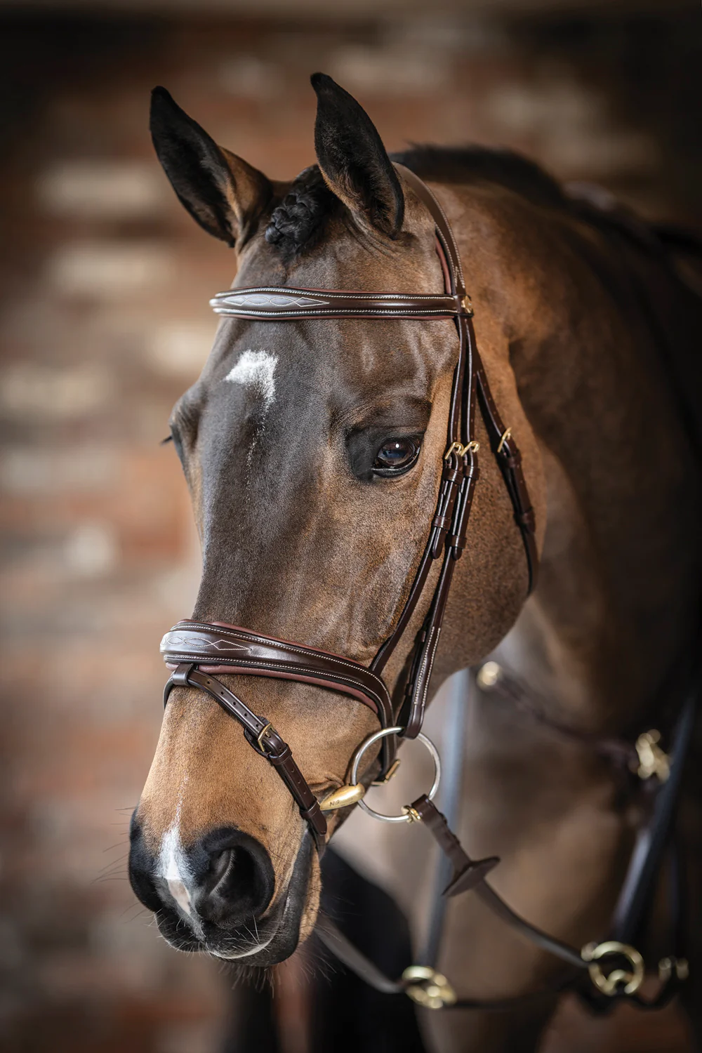 LeMieux® Kudos Competition Flash Bridle - Image 8