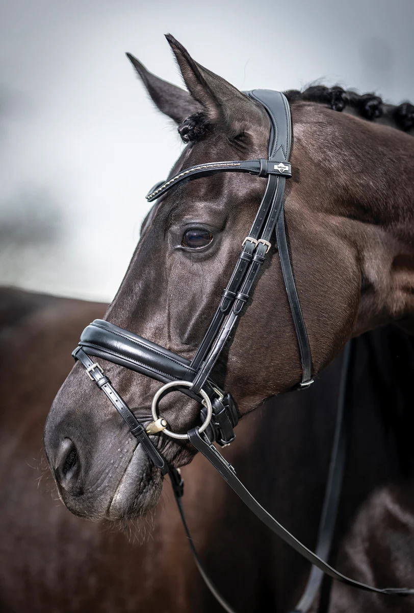 LeMieux® Kudos Dressage Flash Bridle - Image 6