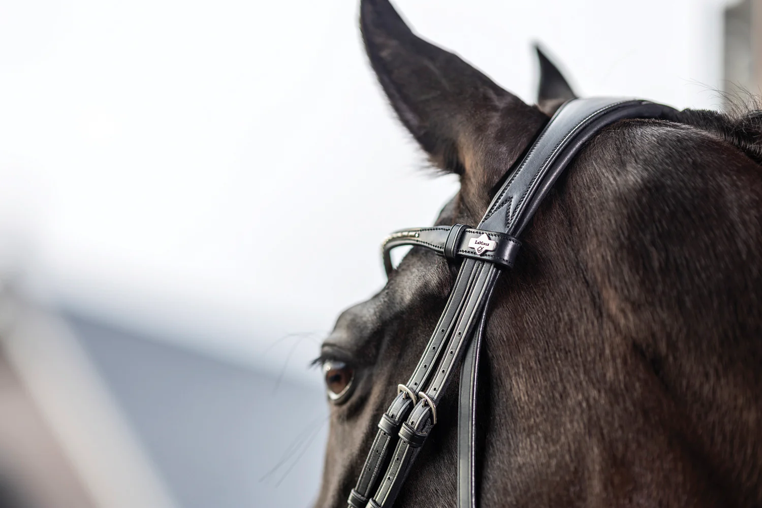LeMieux® Kudos Dressage Flash Bridle - Image 7