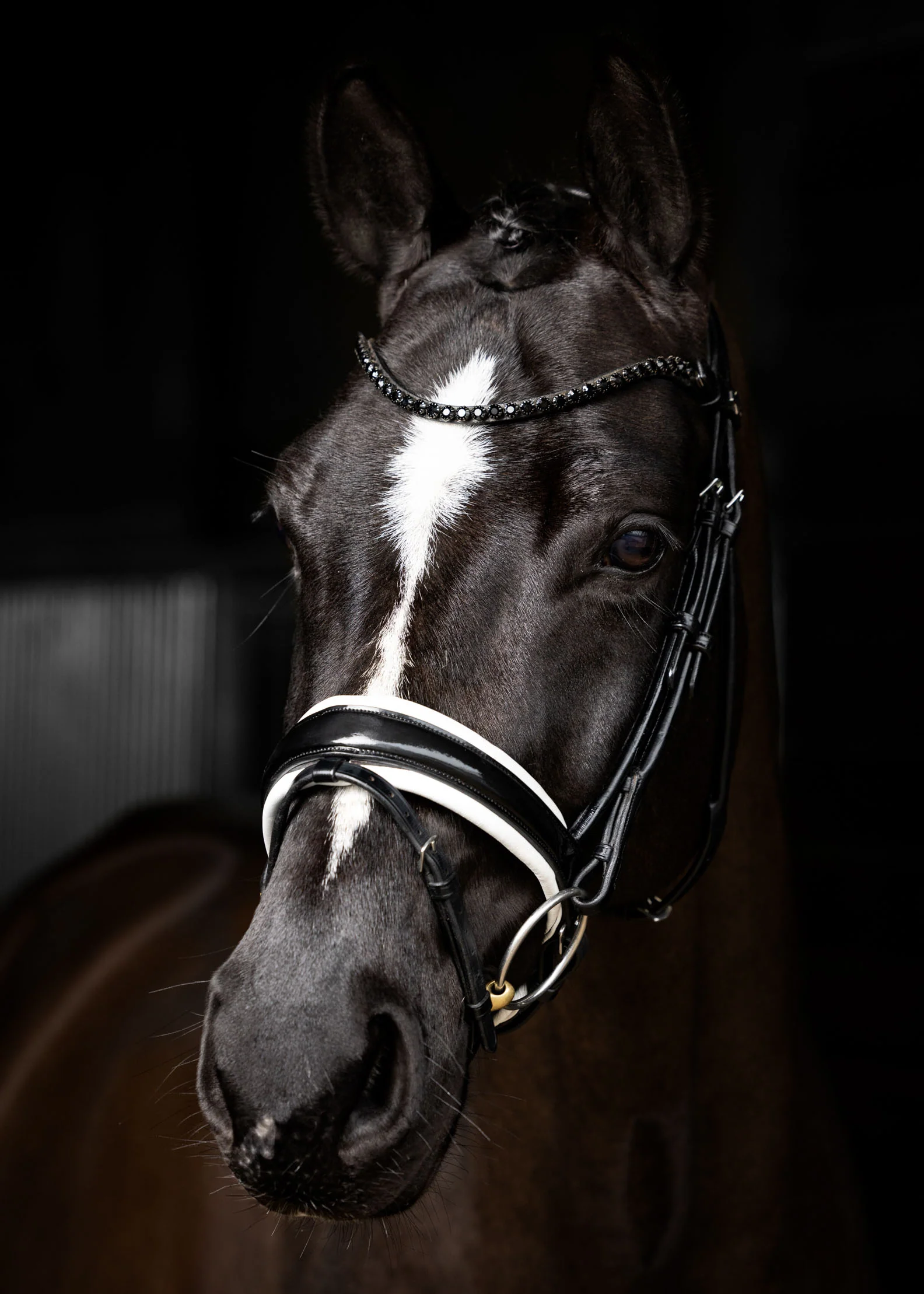LeMieux® Kudos Patent Leather Dressage Bridle - Image 4