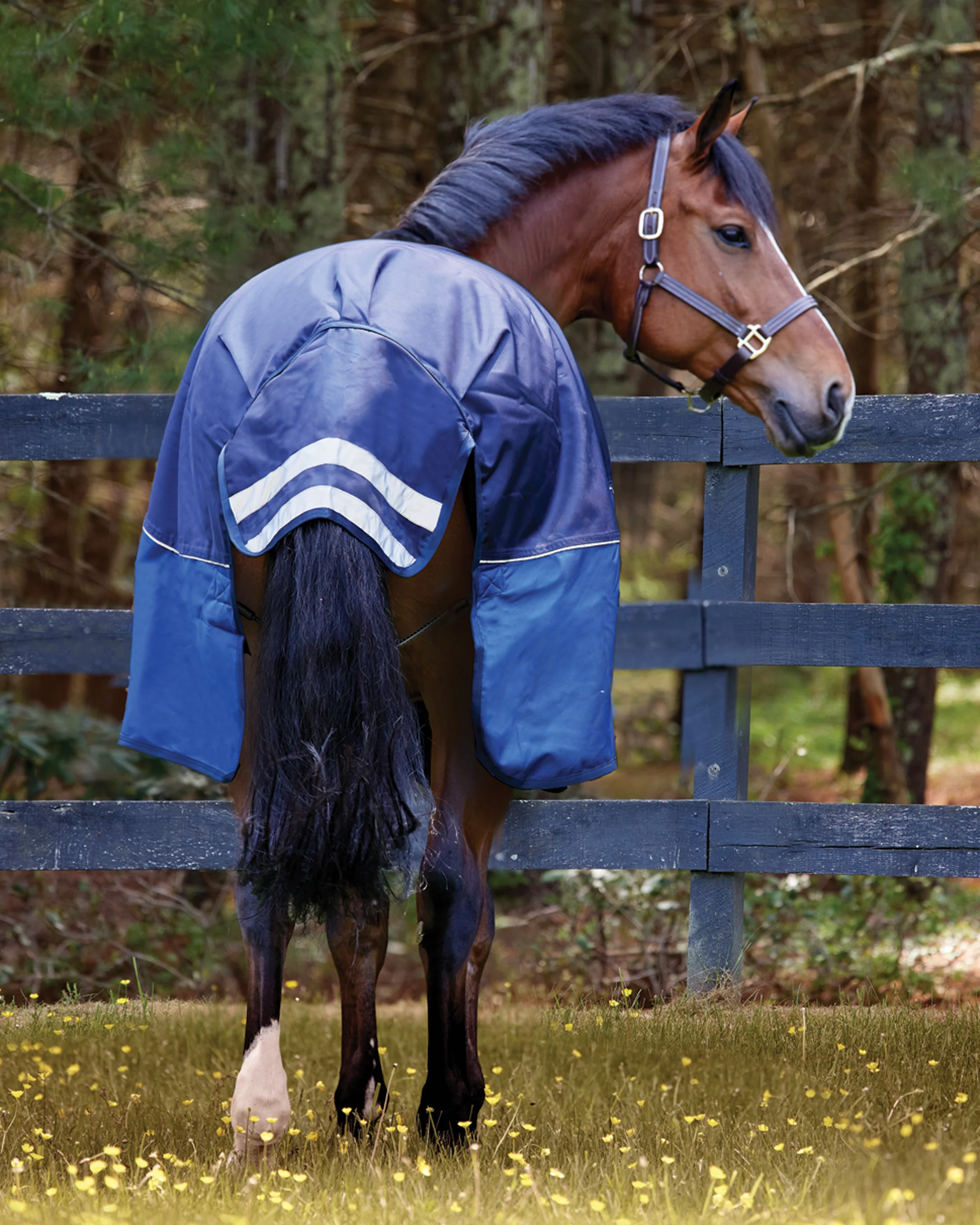 NorthWind™ Light-Weight Turnout Blanket with Detachable Neck–100 grams - Image 3
