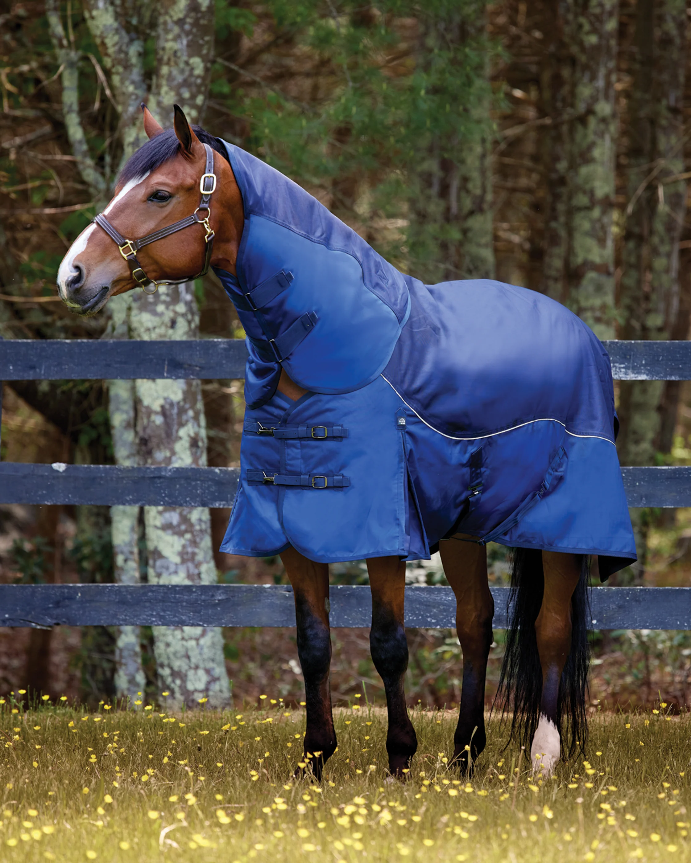 NorthWind™ Light-Weight Turnout Blanket with Detachable Neck–100 grams - Image 4