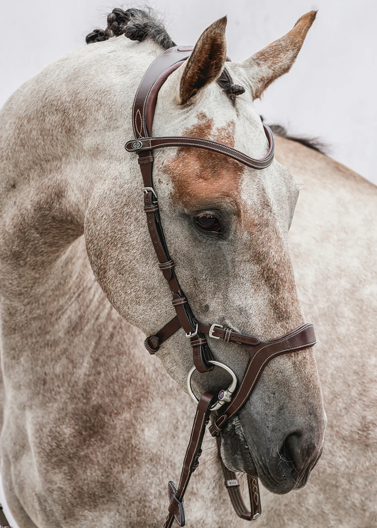 PS of Sweden Nirak™ Bridle - Image 5