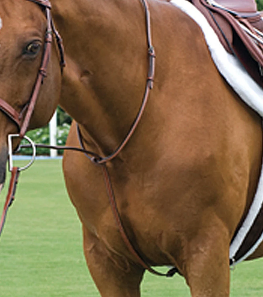 Rodrigo Raised Fancy Stitched Martingale - Image 4