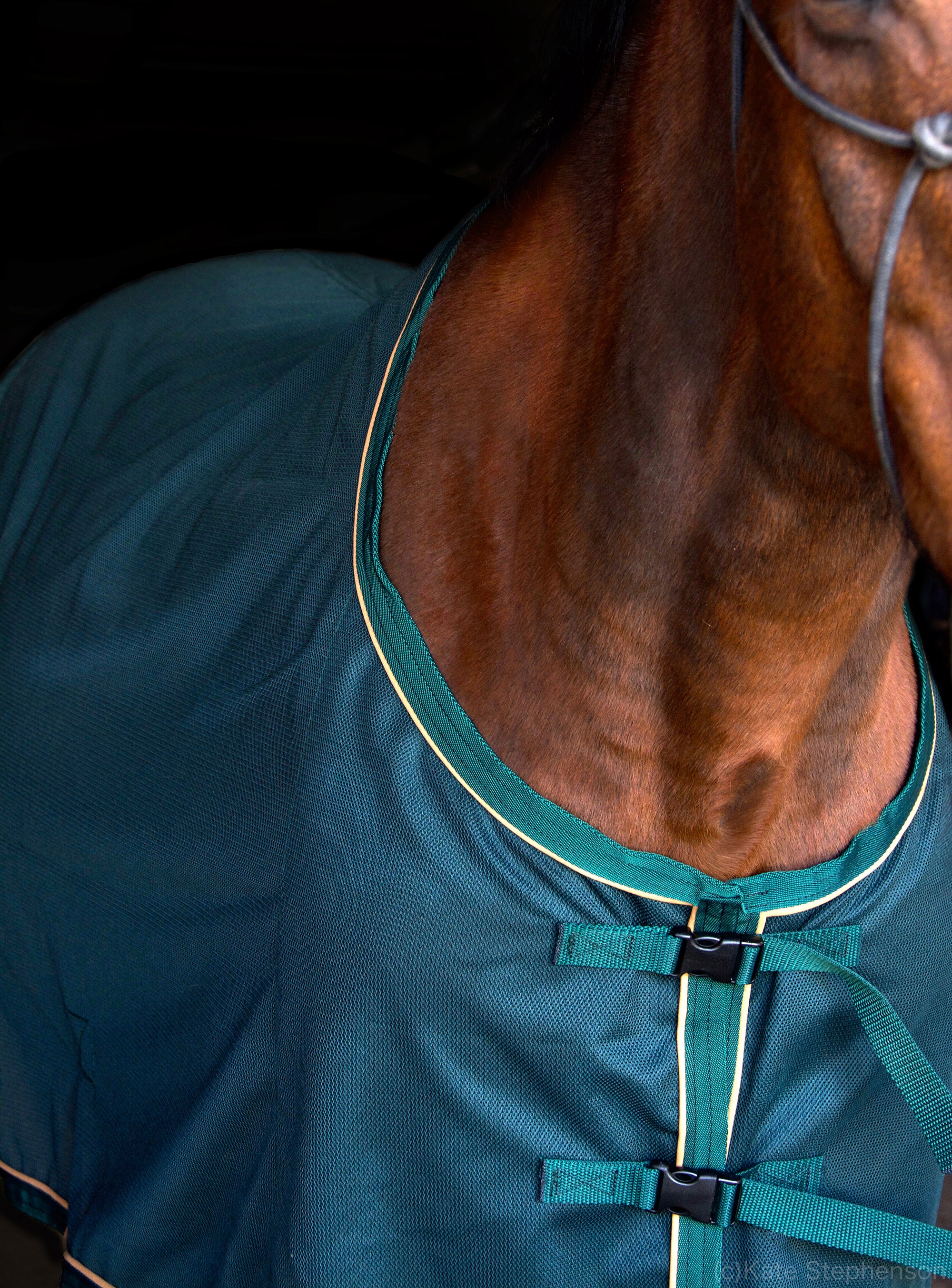 Saratoga Oasis Summer Dress Sheet - Image 3