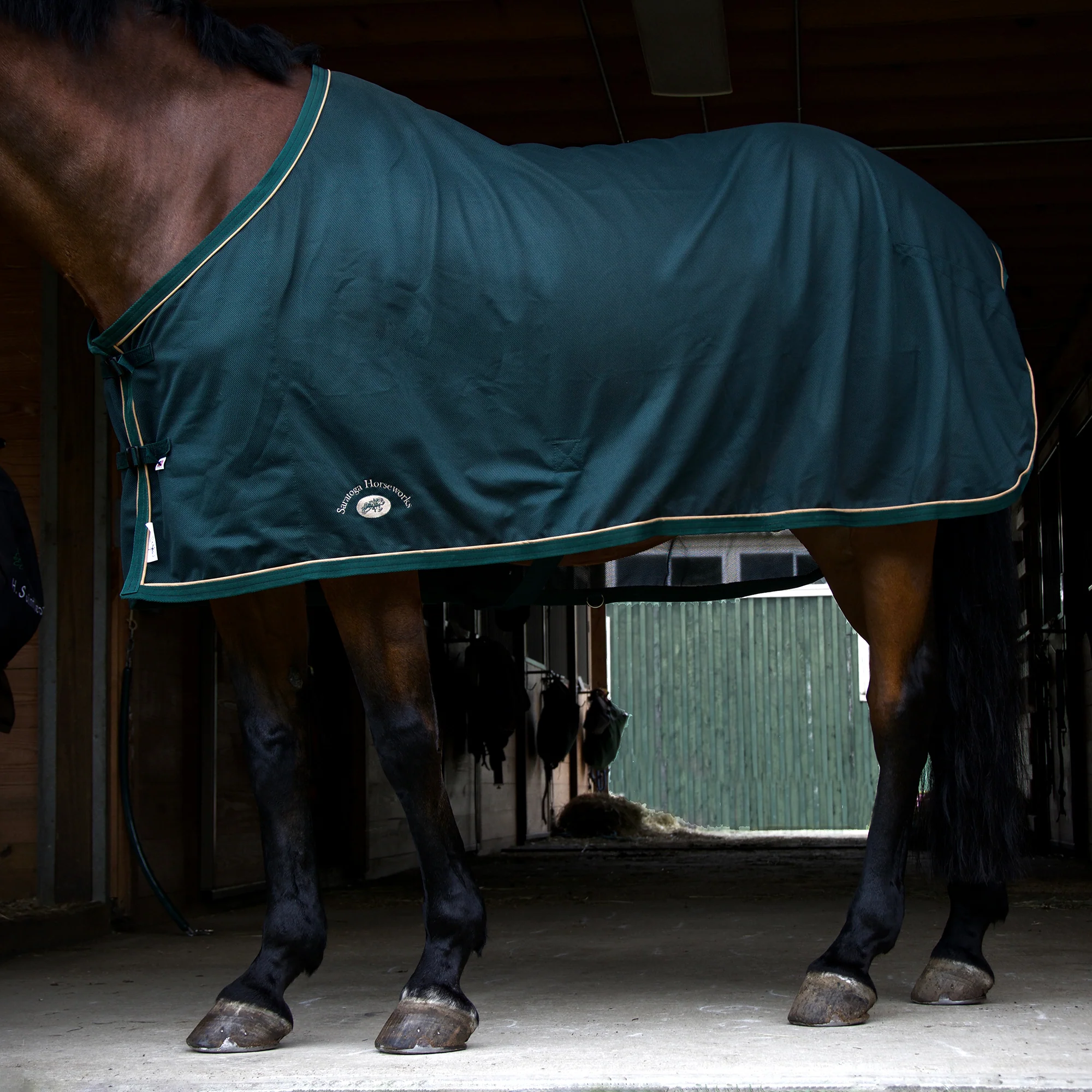 Saratoga Oasis Summer Dress Sheet - Image 4
