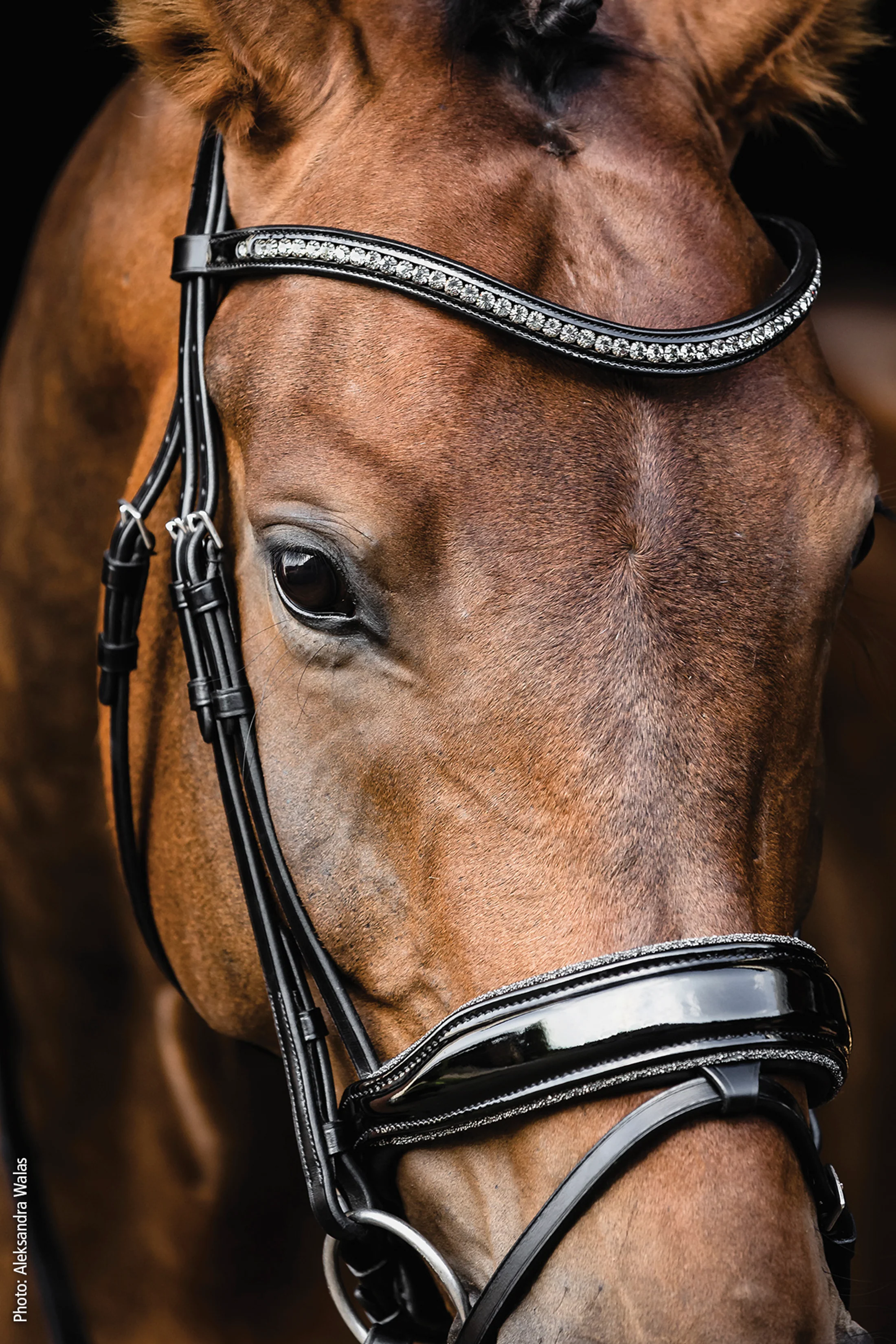 Schockemöhle Standford Glam Bridle - Image 3