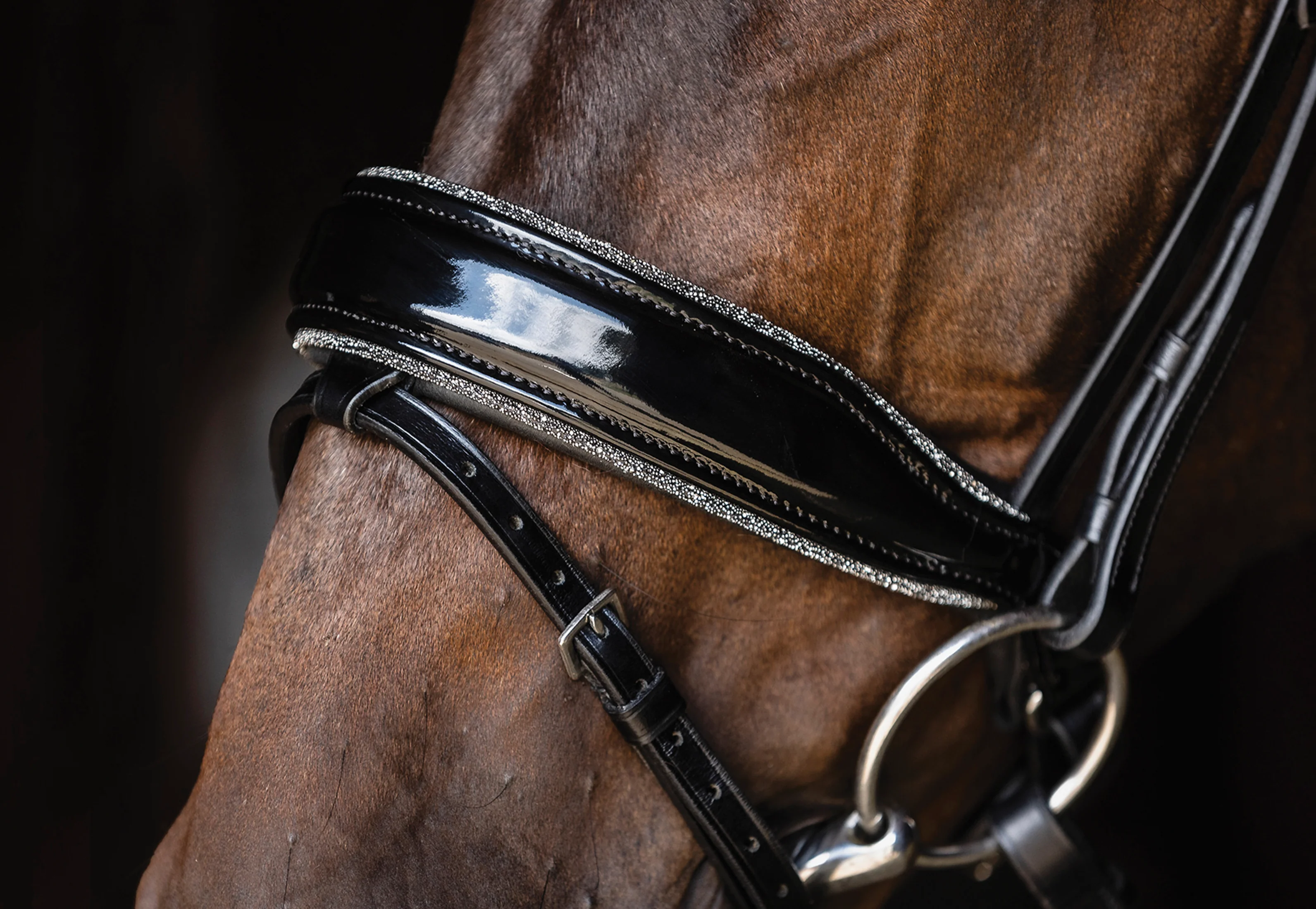 Schockemöhle Standford Glam Bridle - Image 4